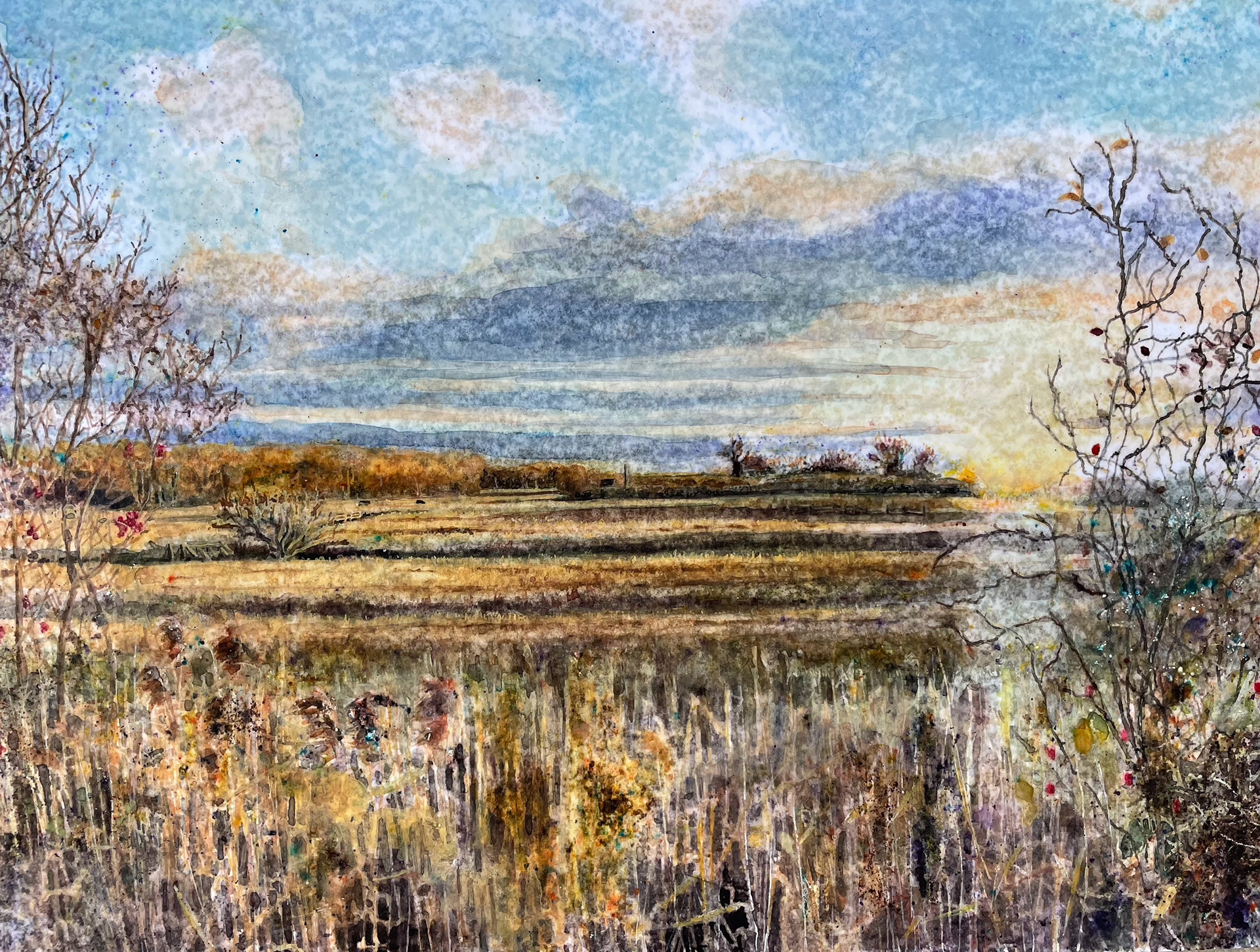 Strumpshaw Fen, Winter Sunset