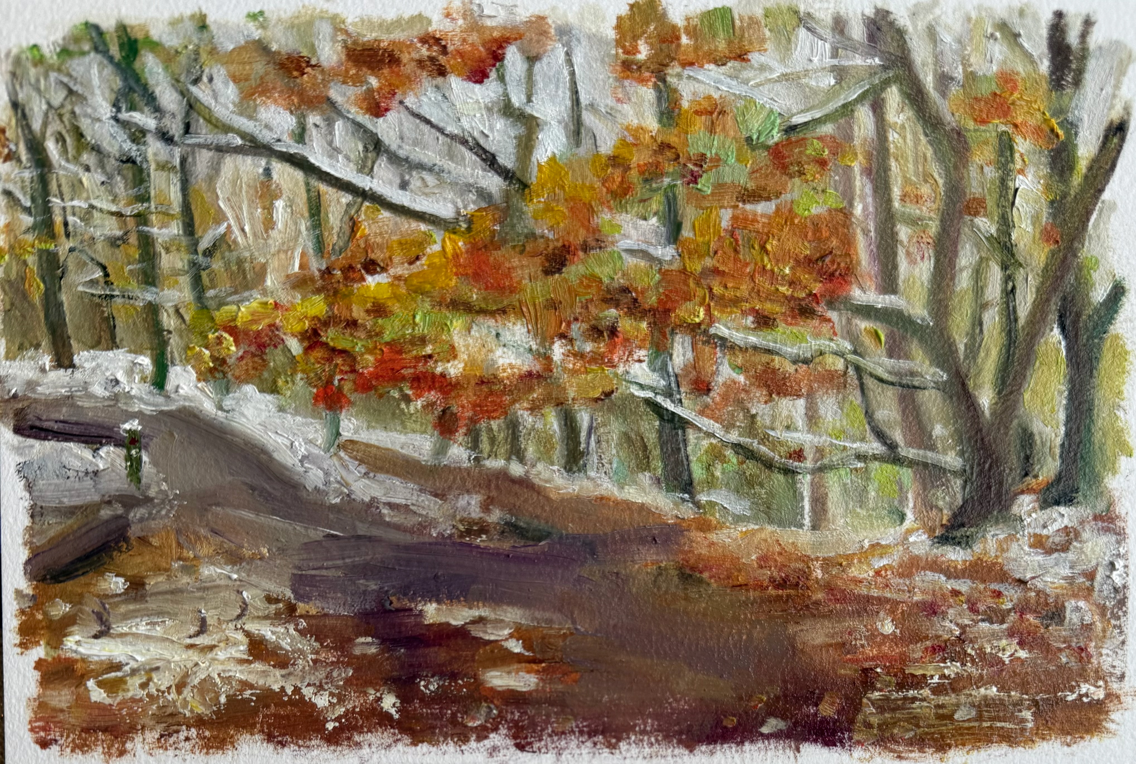 West Yorkshire Woods