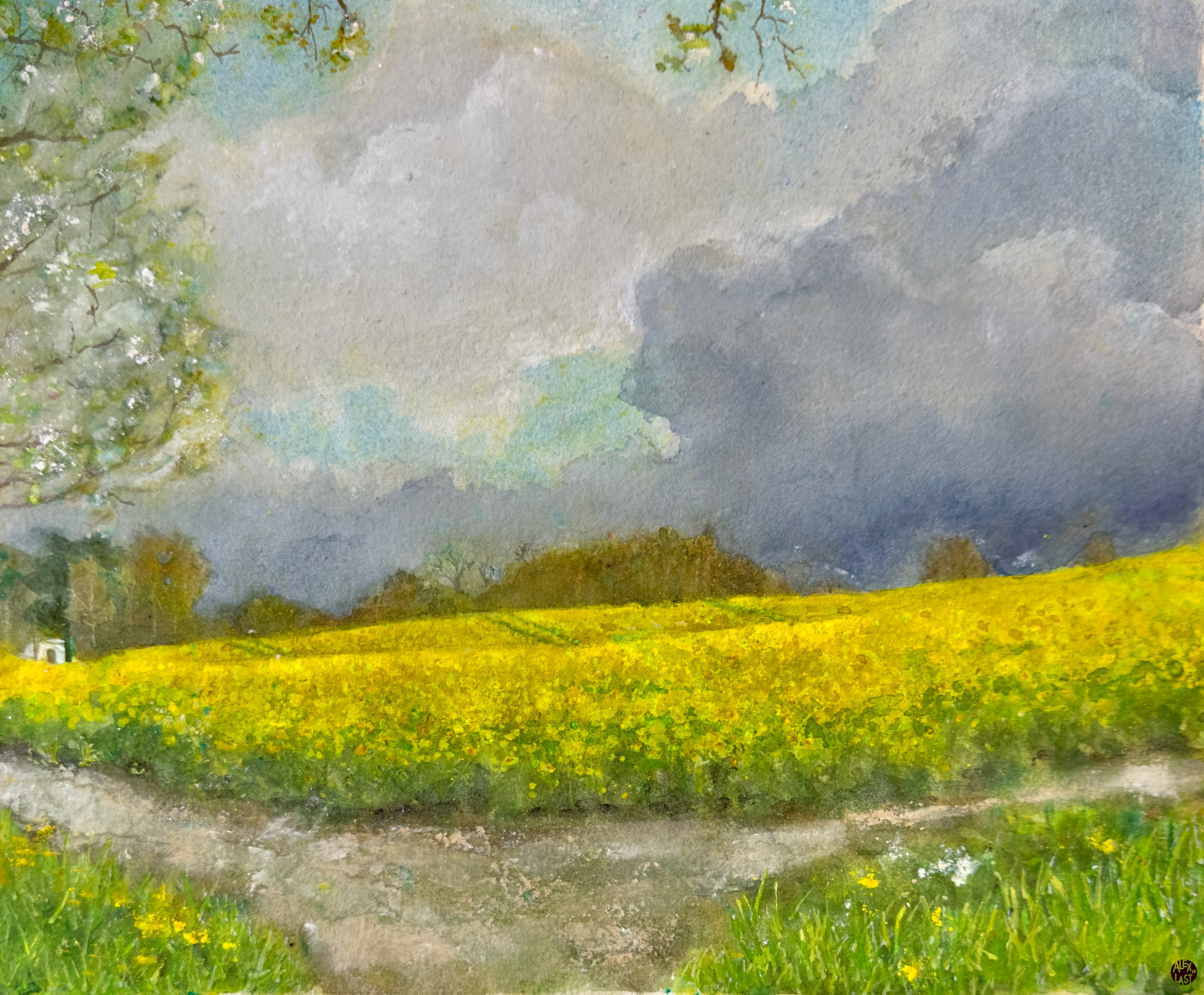 Bit Dark Over Will's Mother's