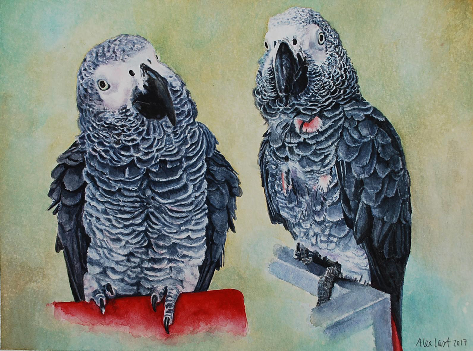 Wolf and Whistle, SOLD