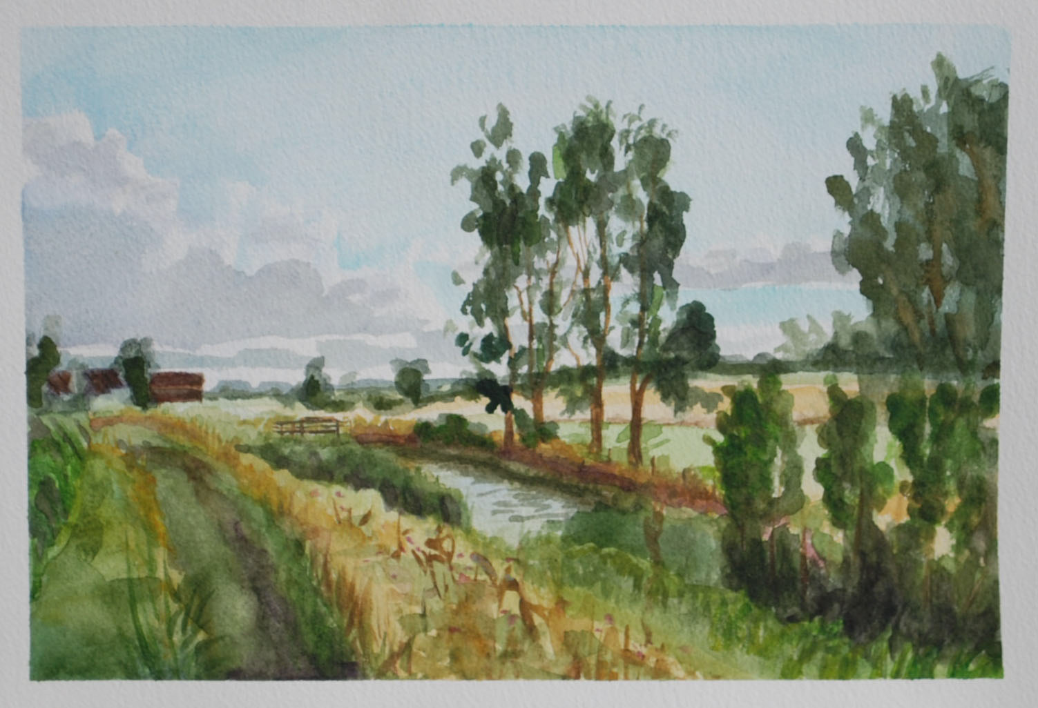 Cold Harbour Farm, River Thurne.