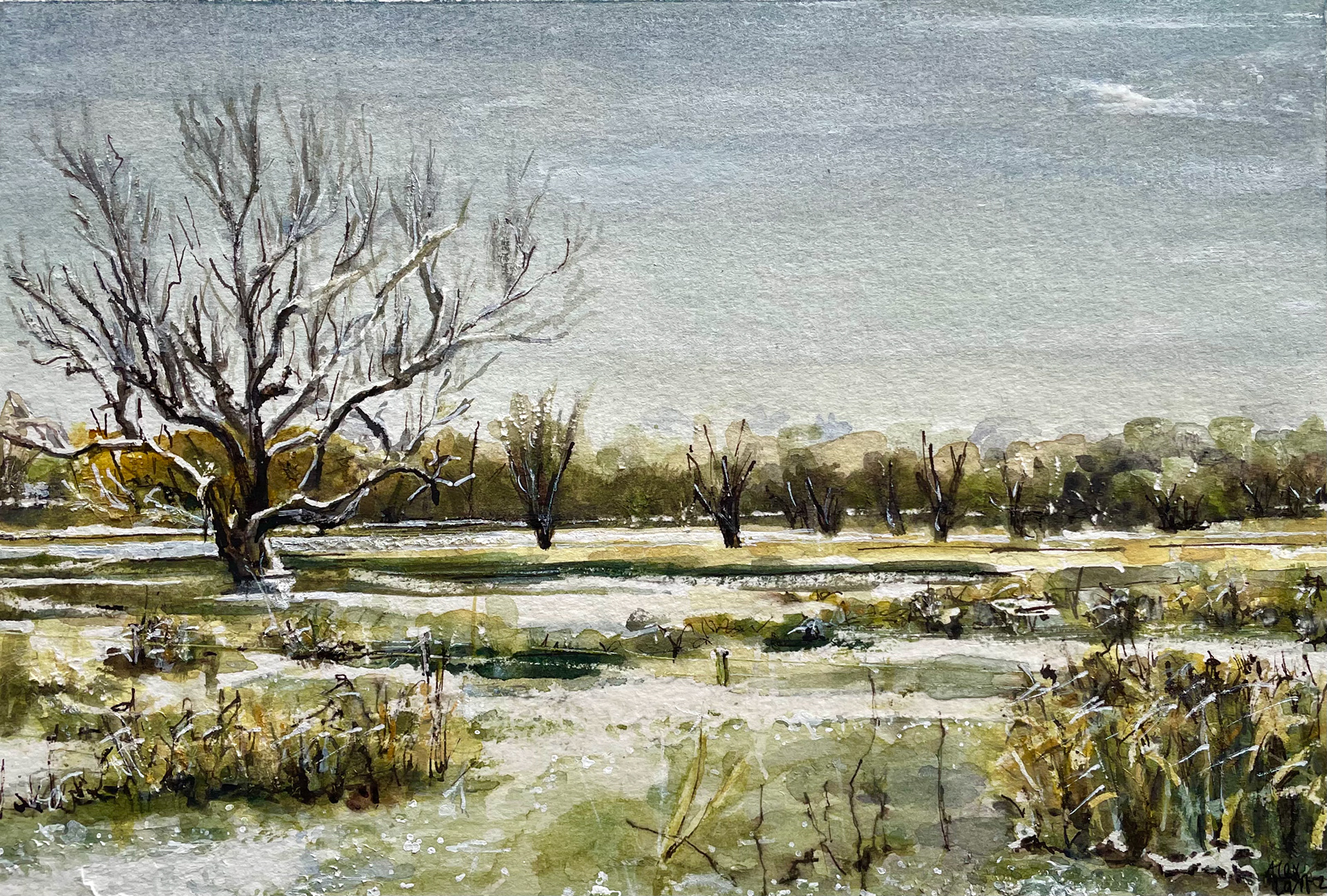 Sue's Walk, Marston Marshes