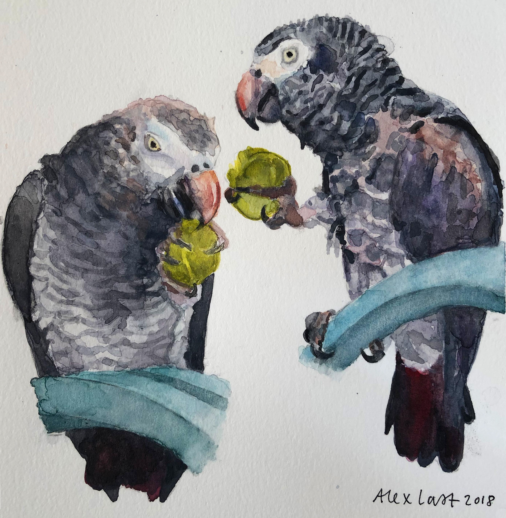 Fester and Timmy, SOLD