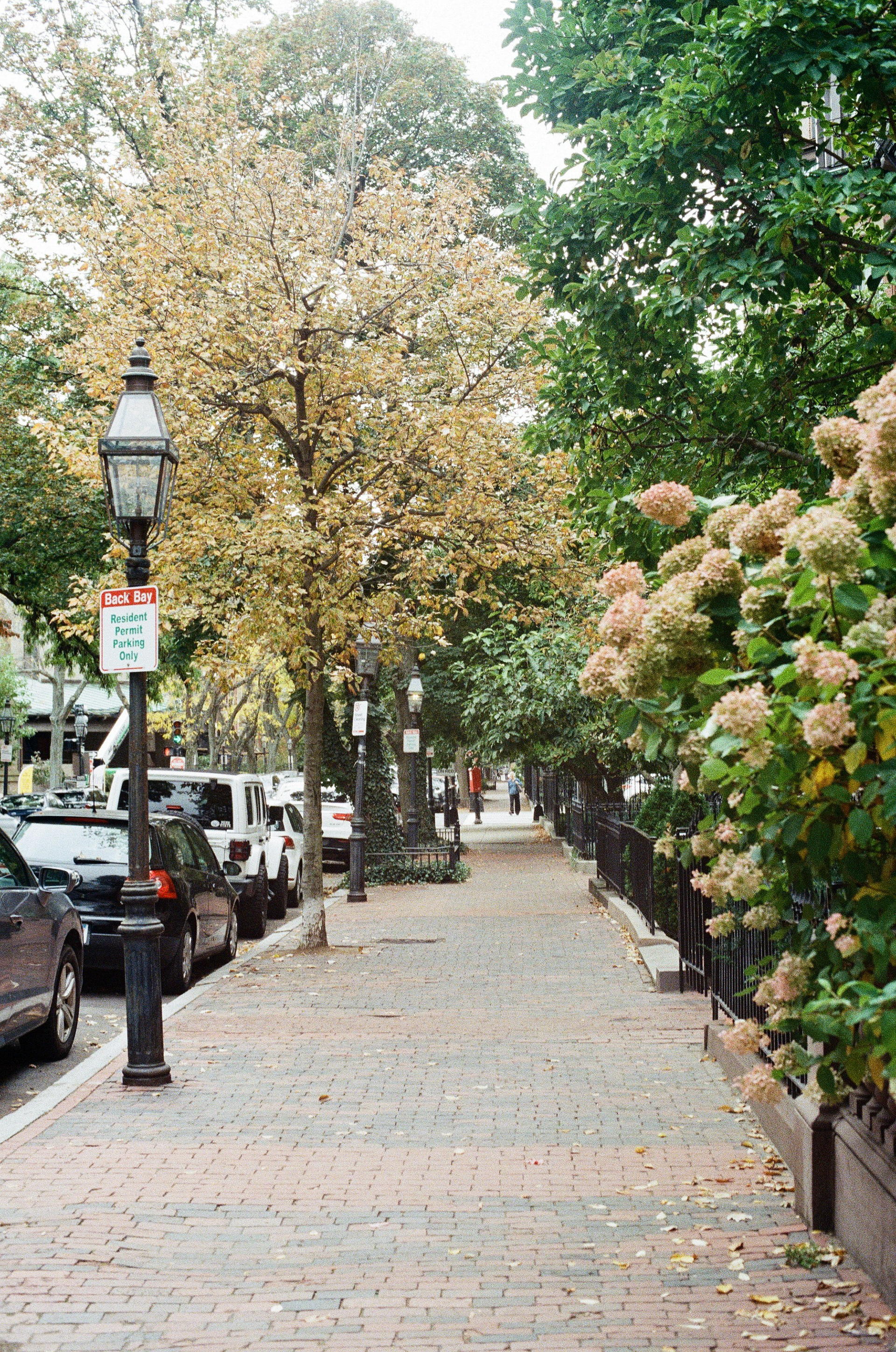 Marlborough St