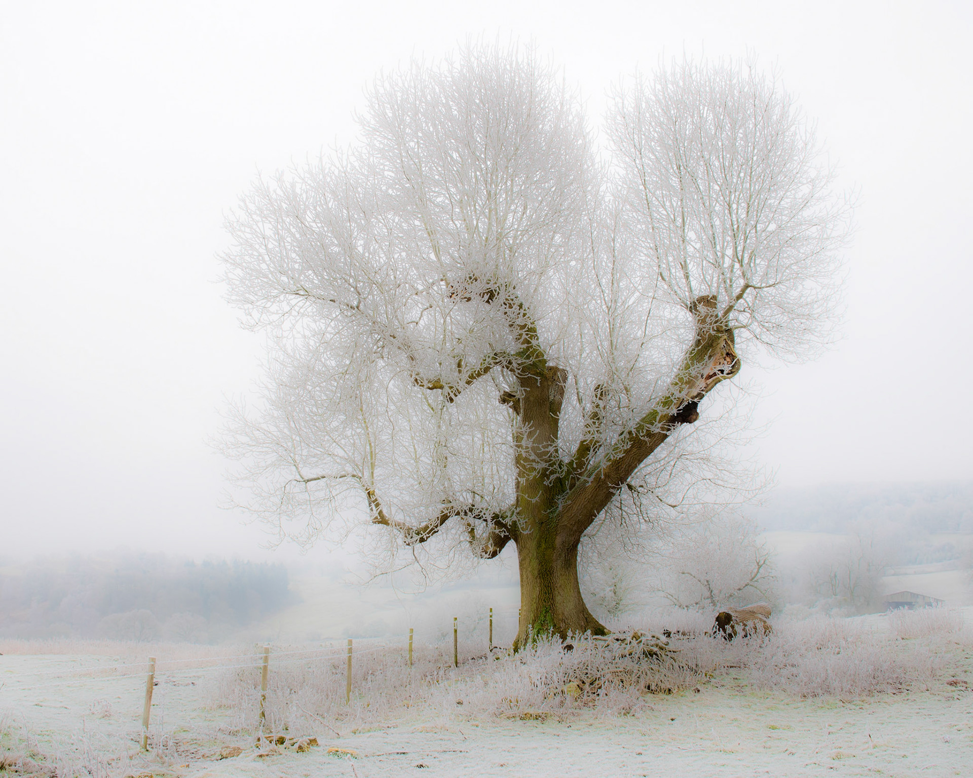 "Winter on Bredon Hill" Worcestershire, England.