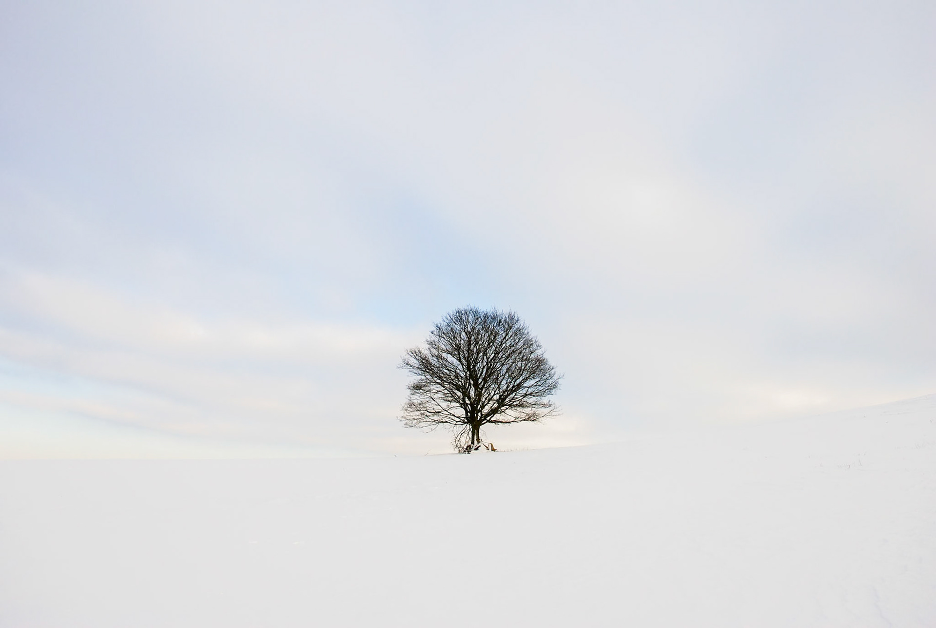 Cusop Hill near Hay-on-Wye, Wales