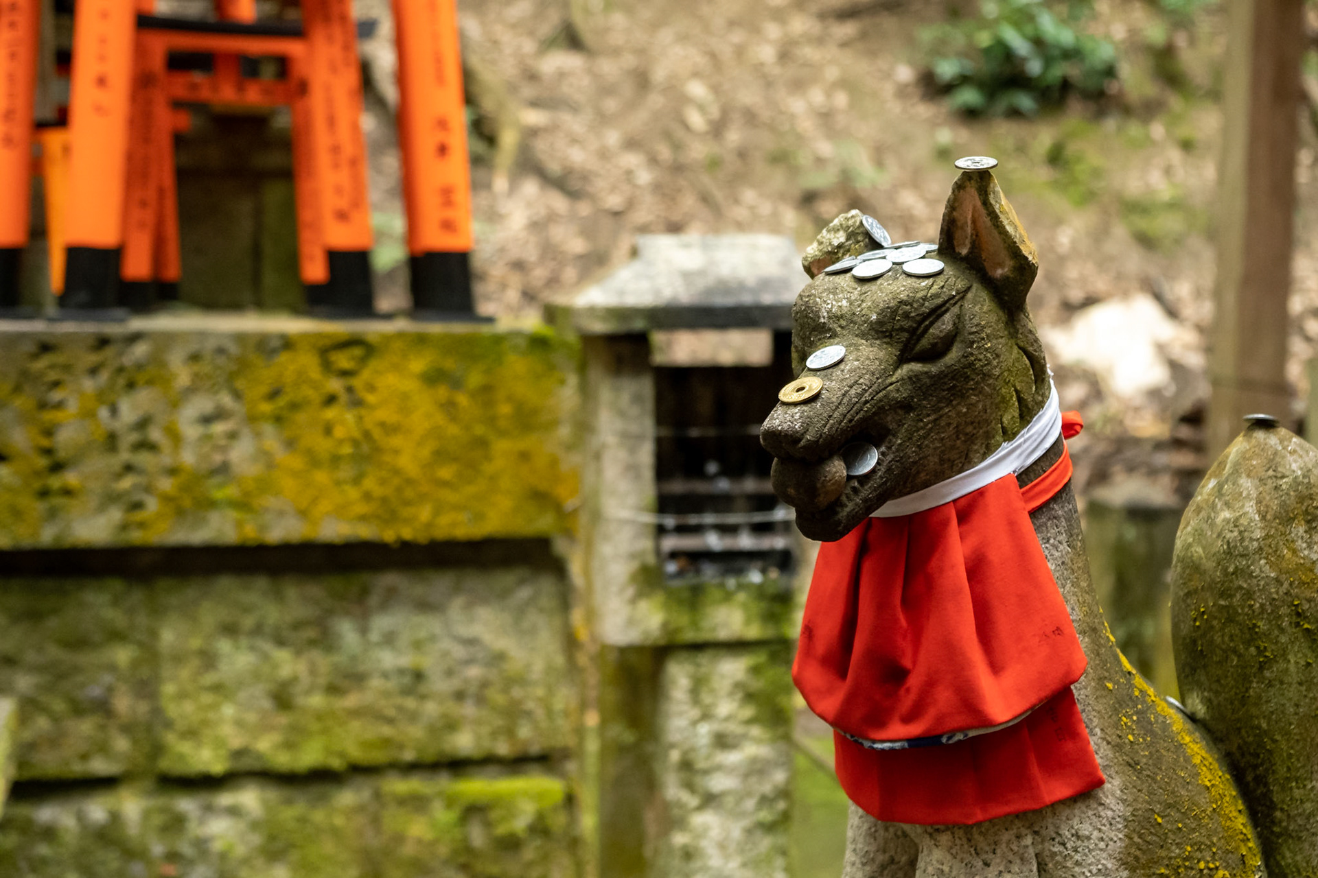Kitsune of Inari