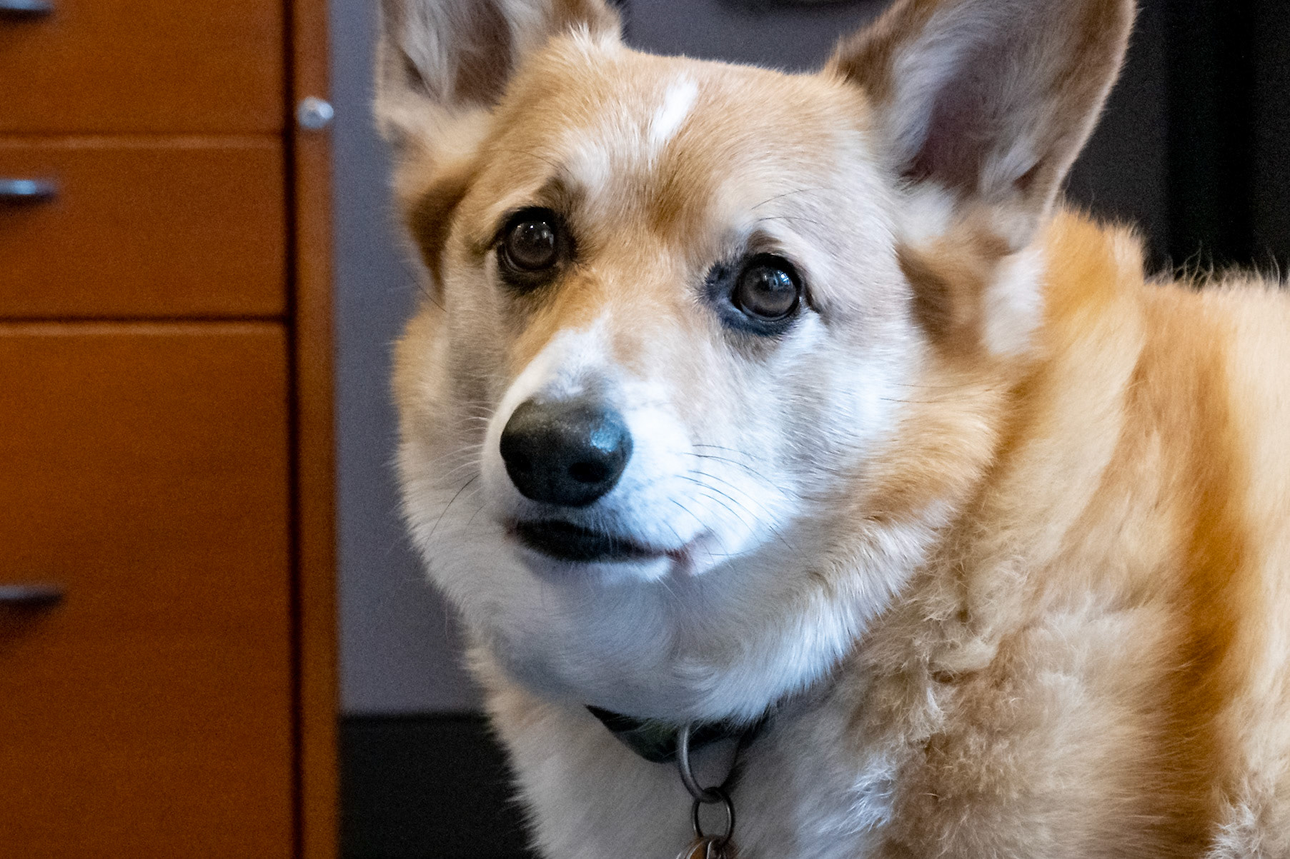 Why aren't we playing?