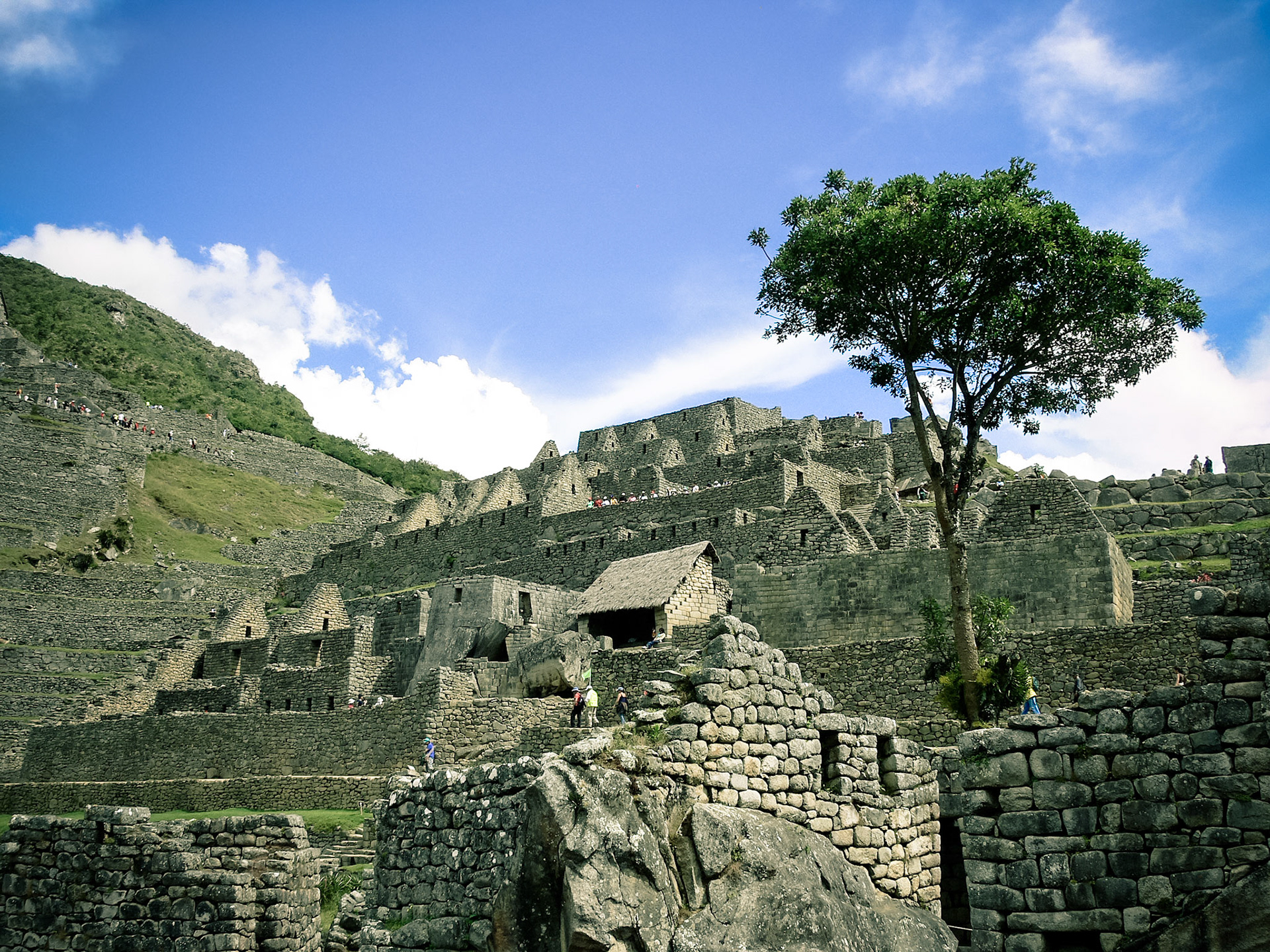 Lonesome tree at a very famous place :)