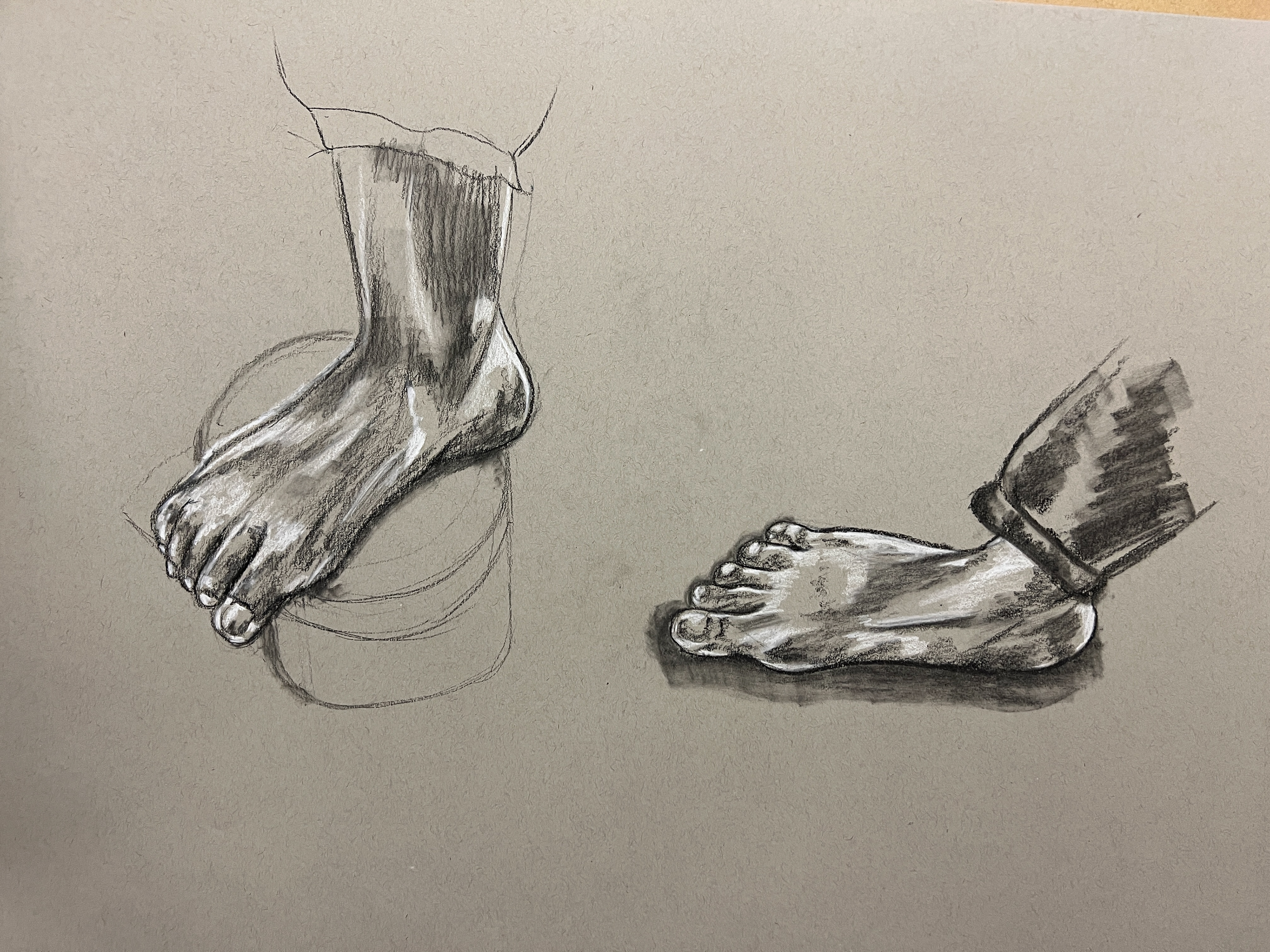 Feet Studies (Toned Paper)