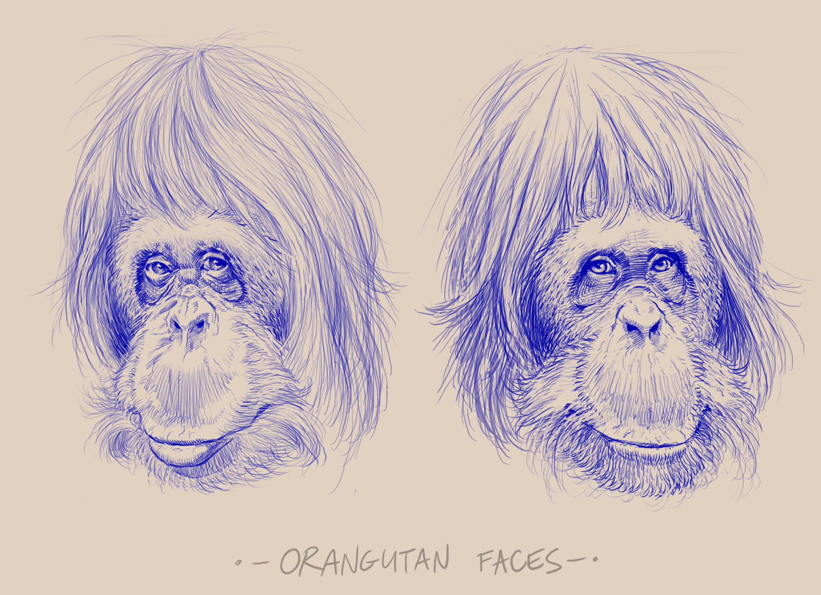 Alternate faces