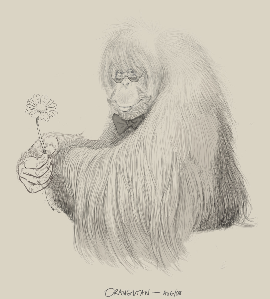 The final sketch