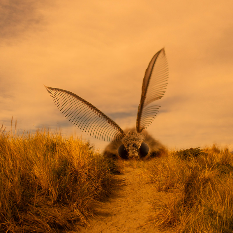 End Of The Road - 2024