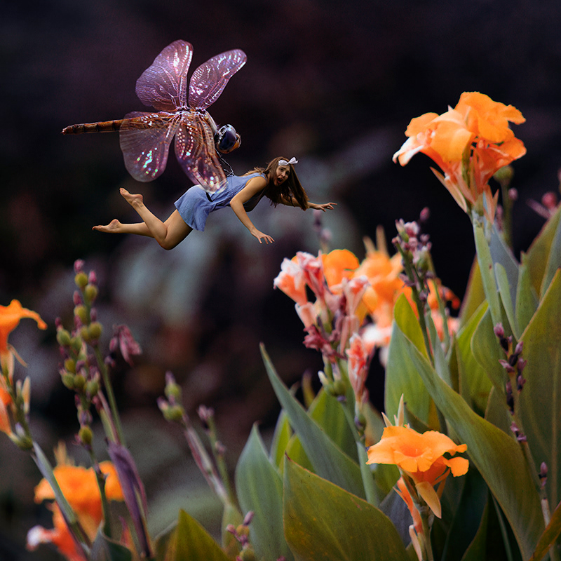 The Kidnapping - 2022