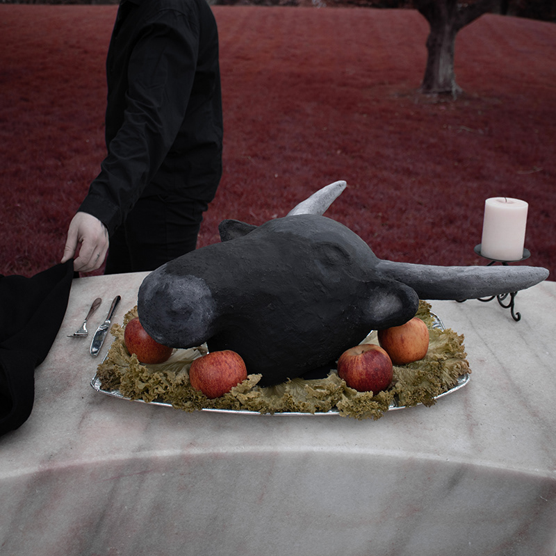 Headway (Asterion (V/V) - 2025