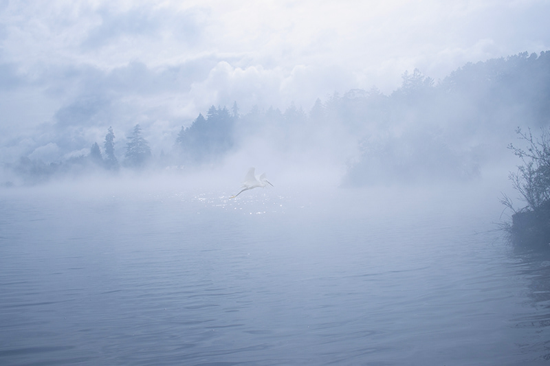 When We Dream - 2023