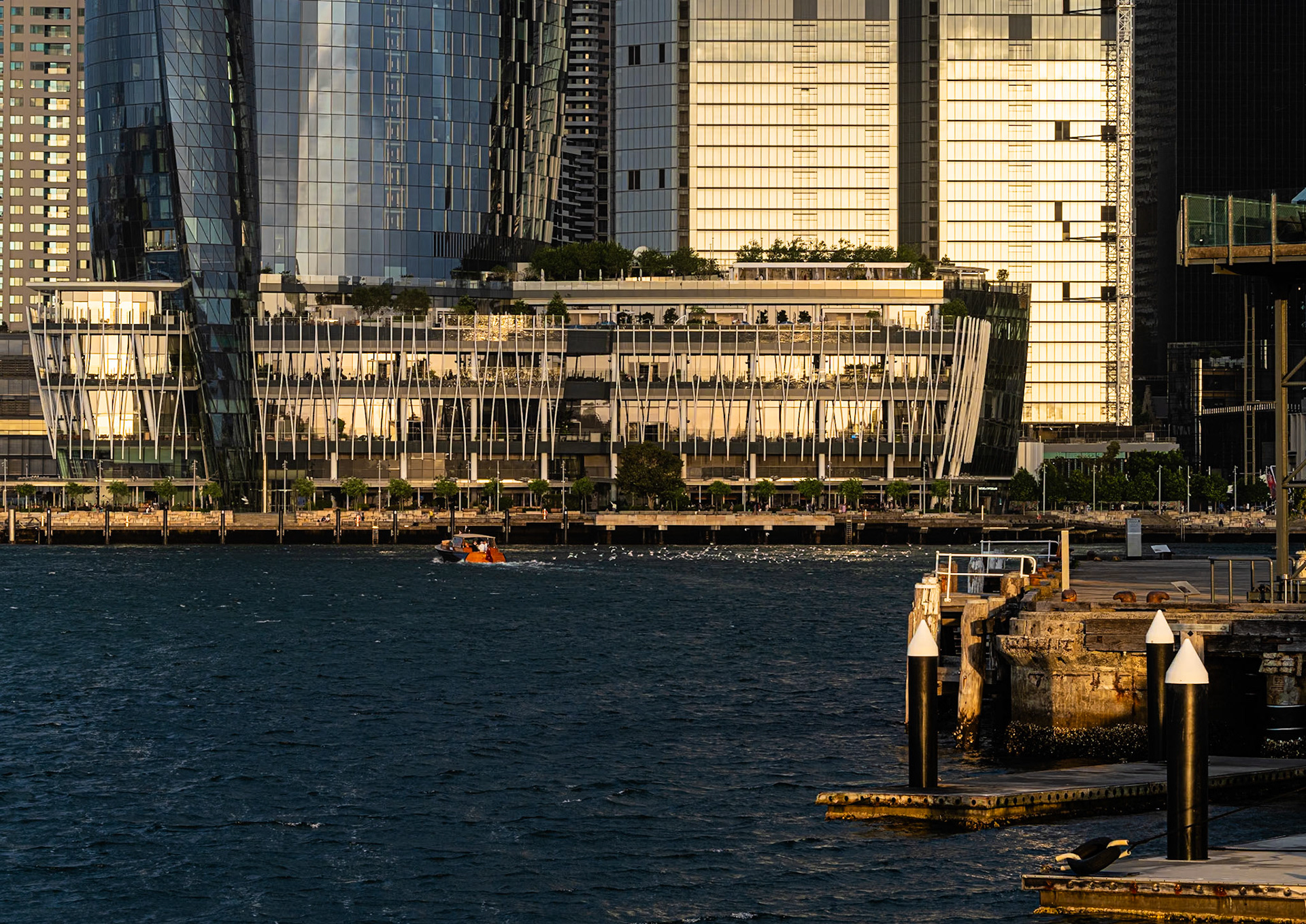 Sydney | 2023 | #1021_1839