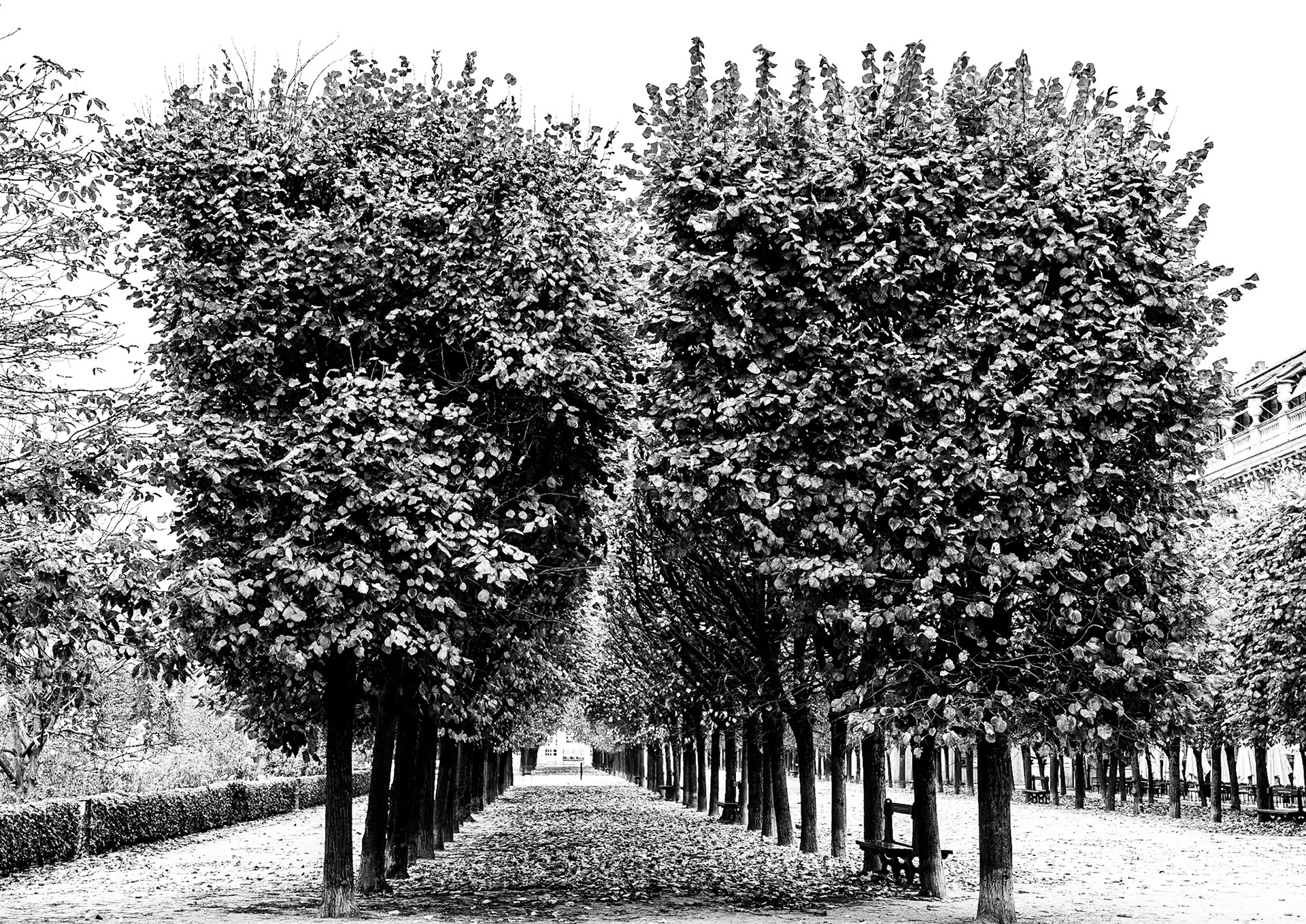 Palais-Royal II | 2025 | #11031346