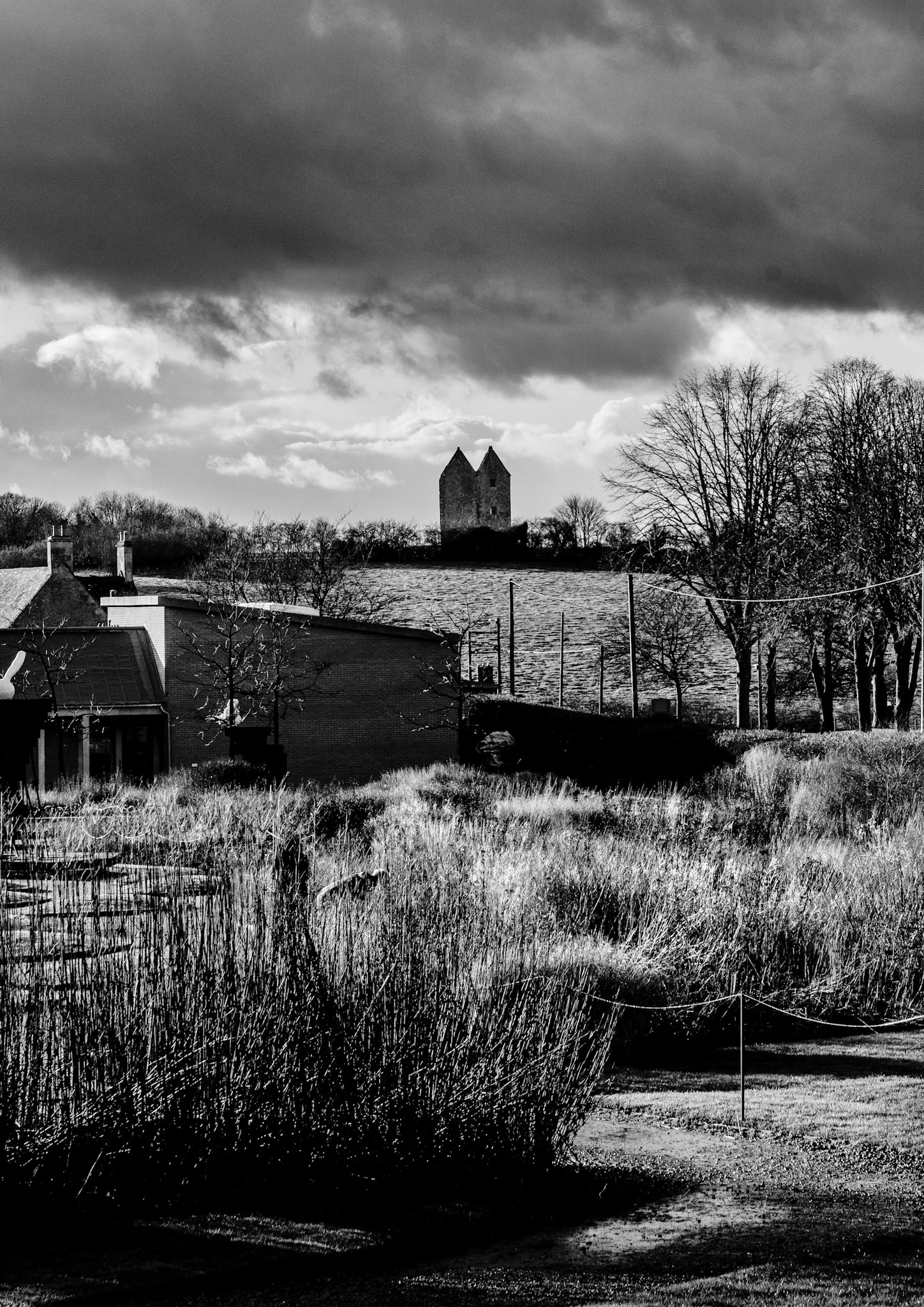 Twin Peaks Sommerset | 2024 | #12191411