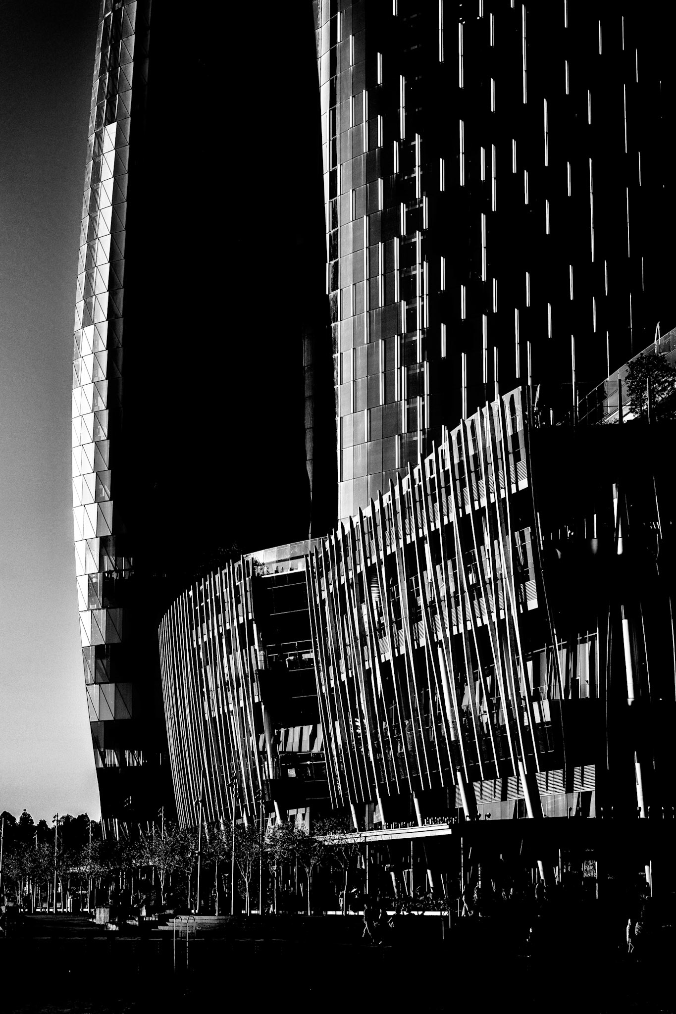 Barangaroo, Sydney | 2025 | #06211602