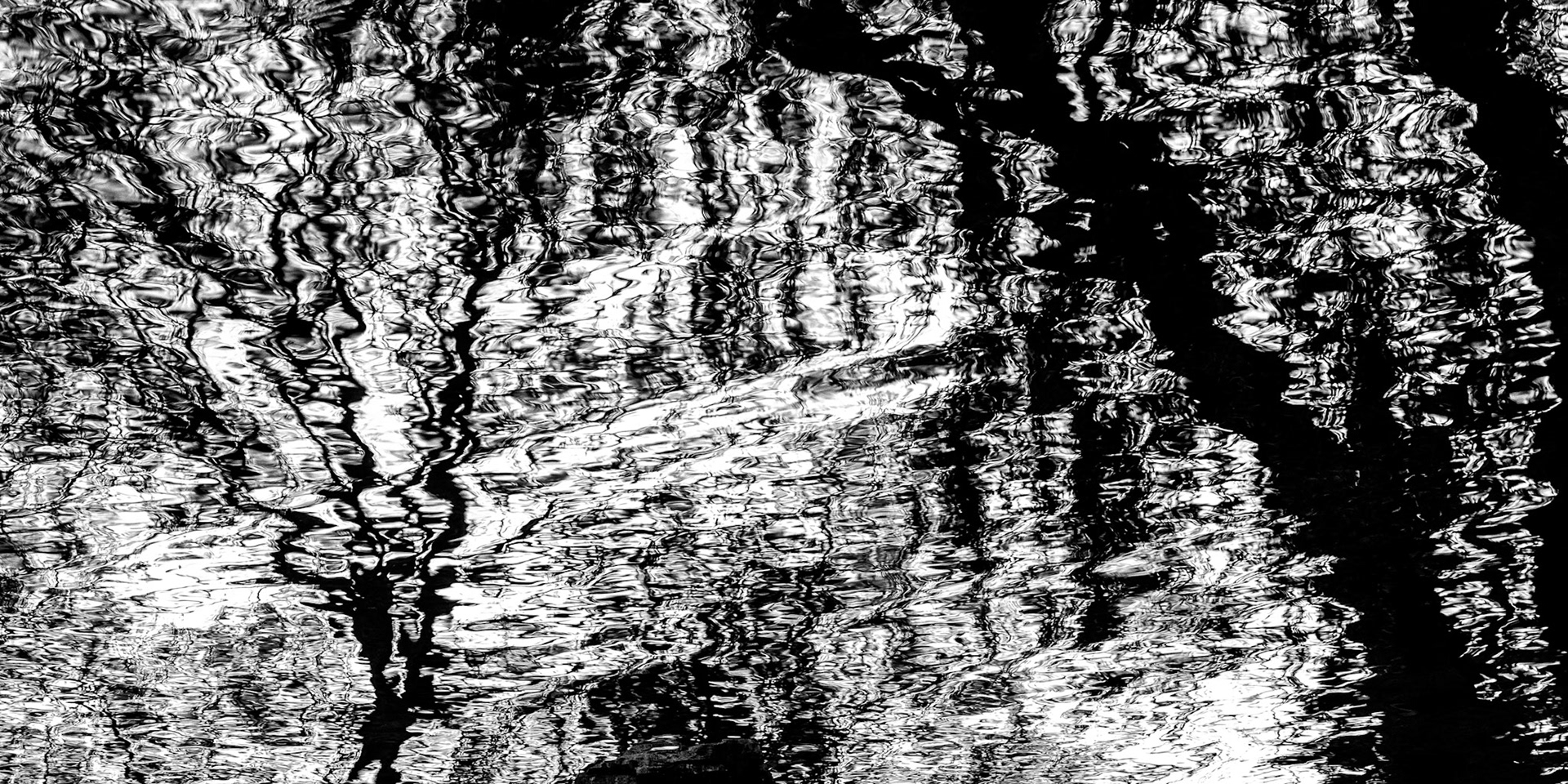 Pool of Reflerction, Holland Park,London |2024 | #12230835