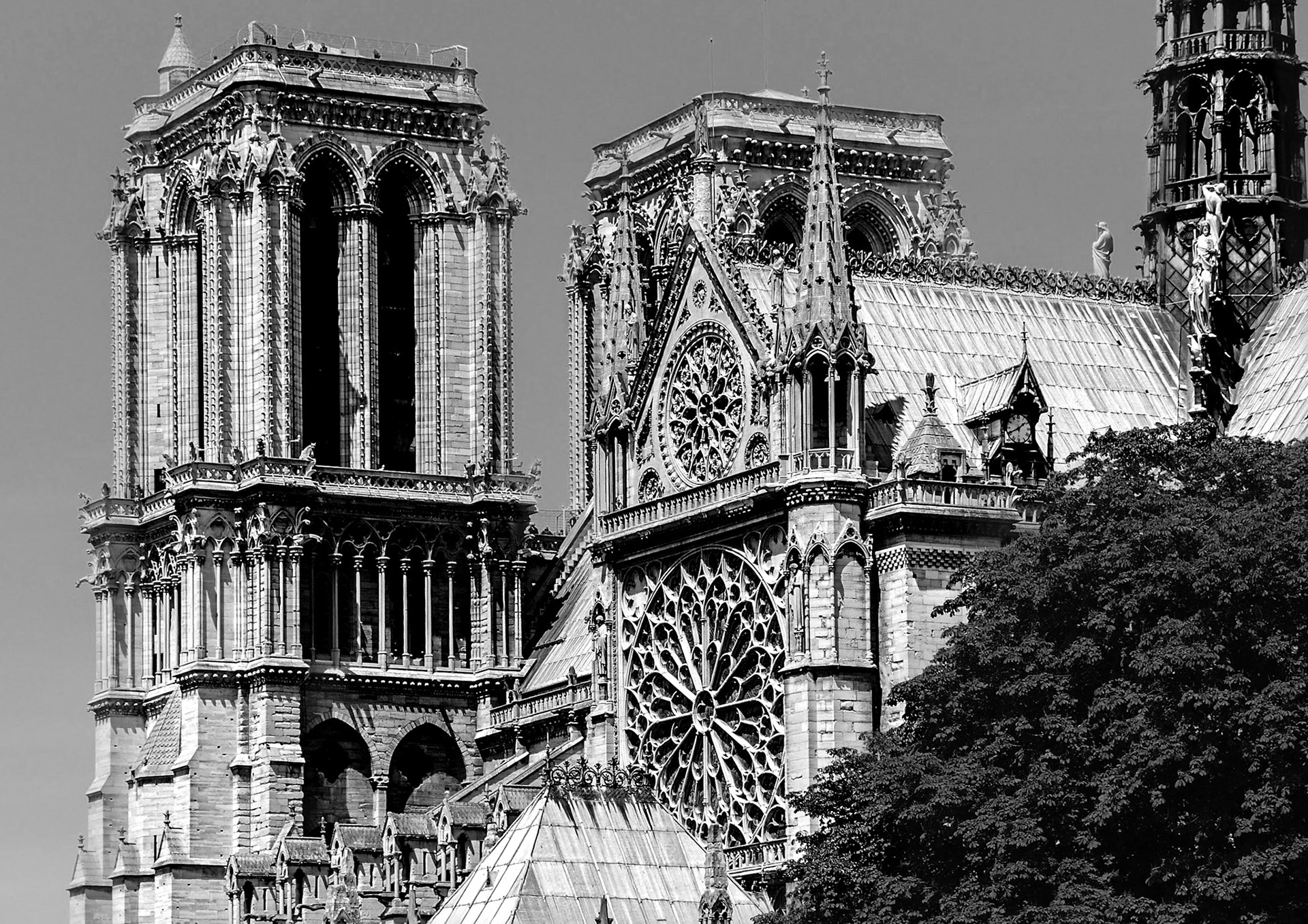Paris | 2013 | #64_1442