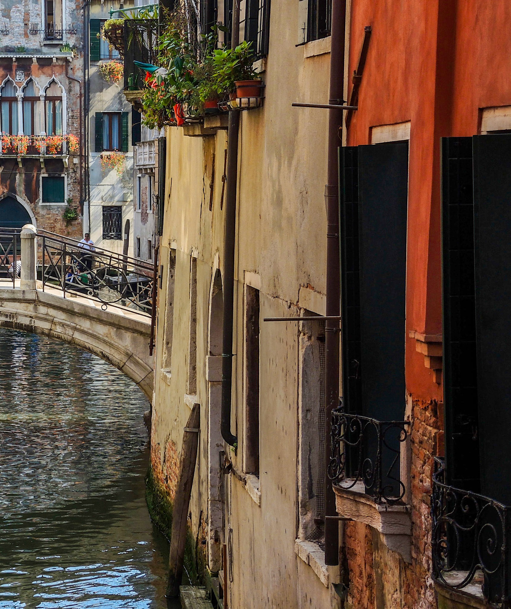 Venice | 2013 | #619_1716