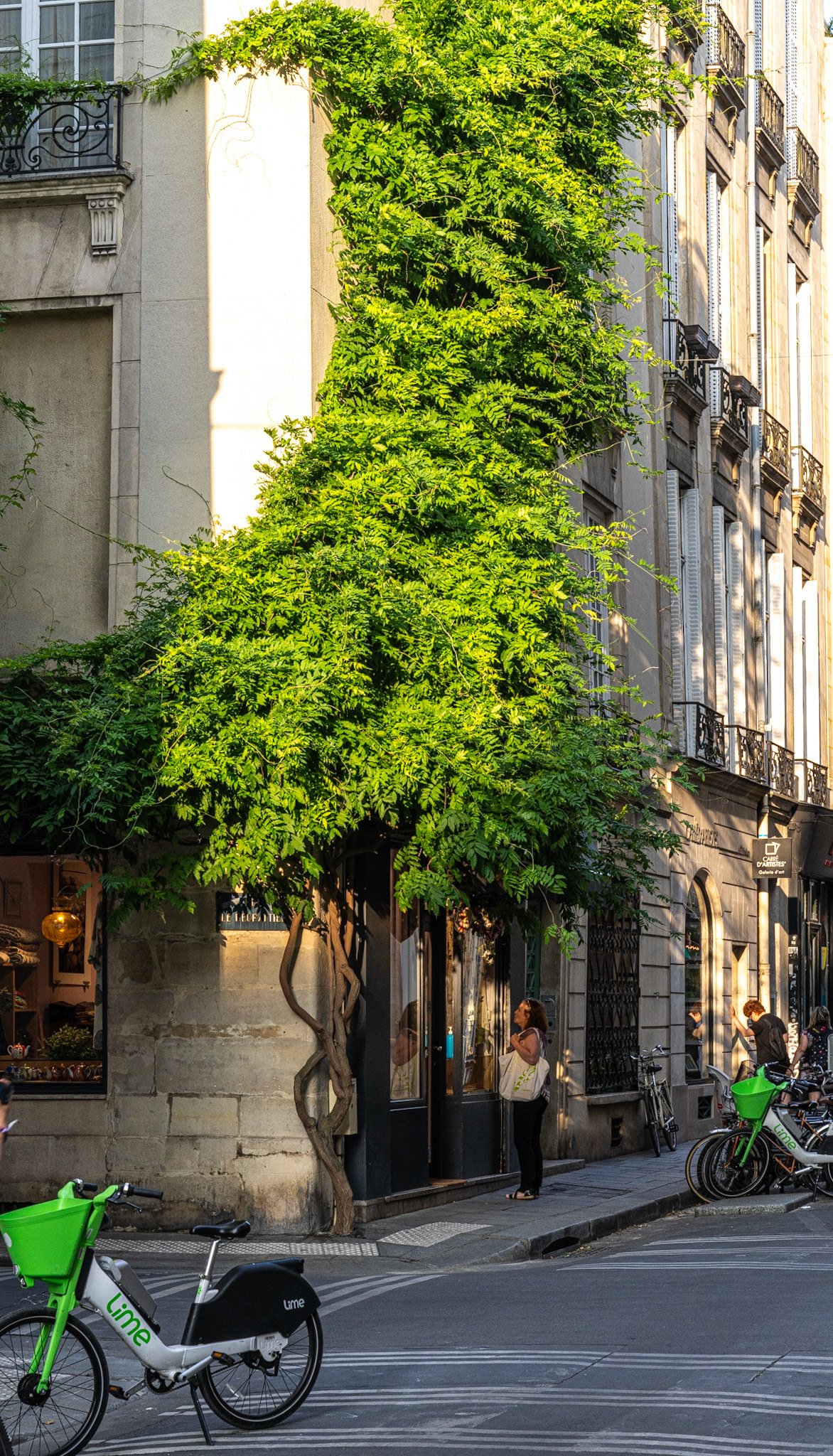 Paris | 2023 | #627_2026