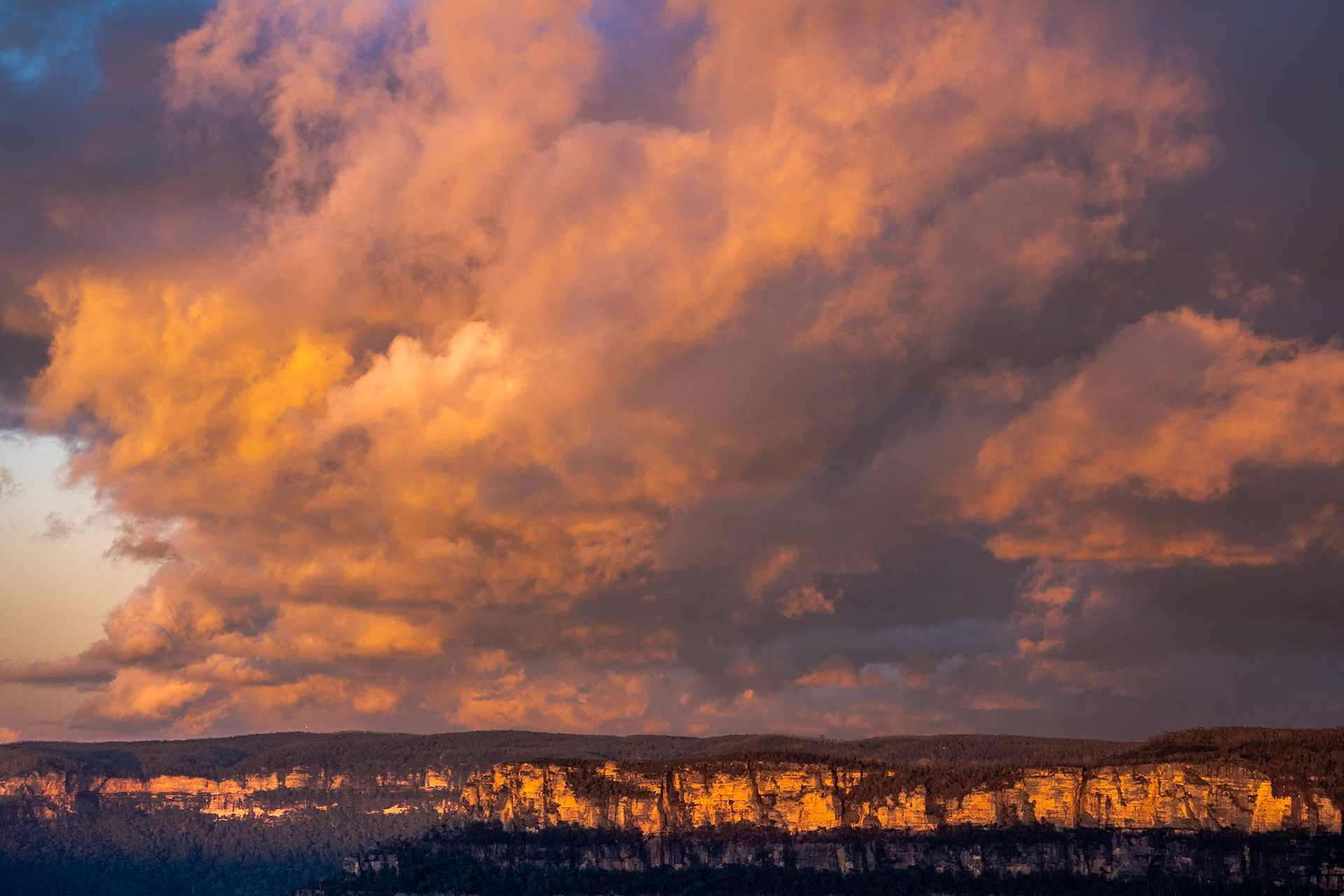 Blue Mountains_NSW | 2021 | #64_758