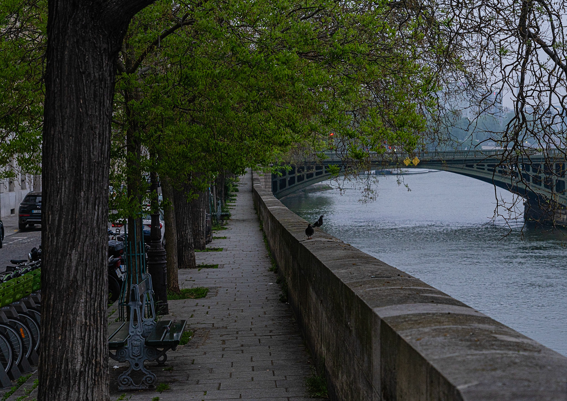 Paris | 2023 | #514_636