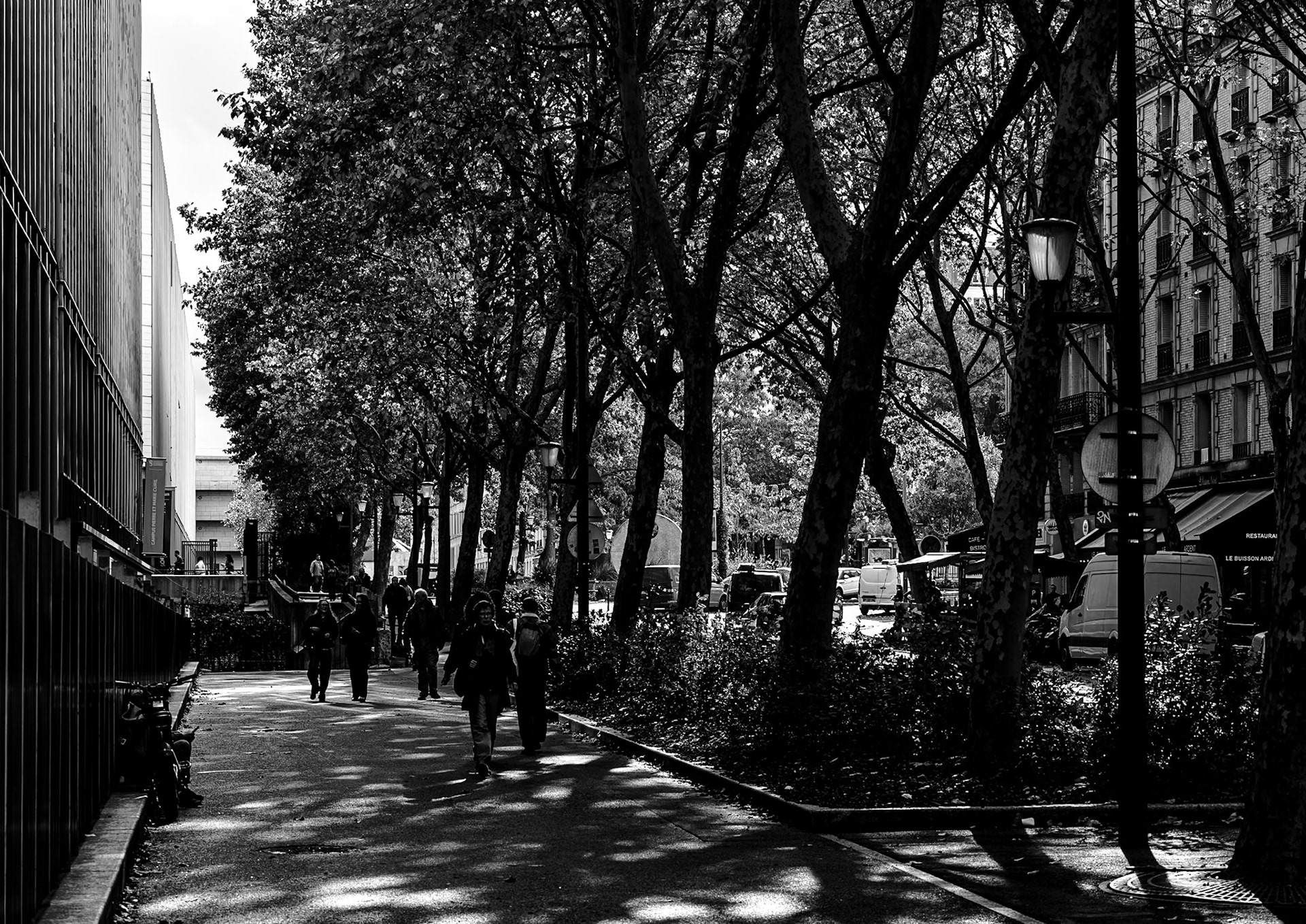 Rue Jussieu I | 2025 | #10201148