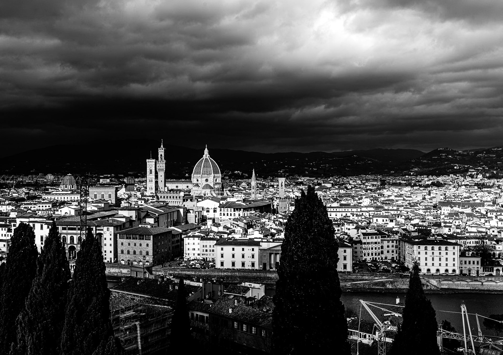Florence | 2025 | #01091419