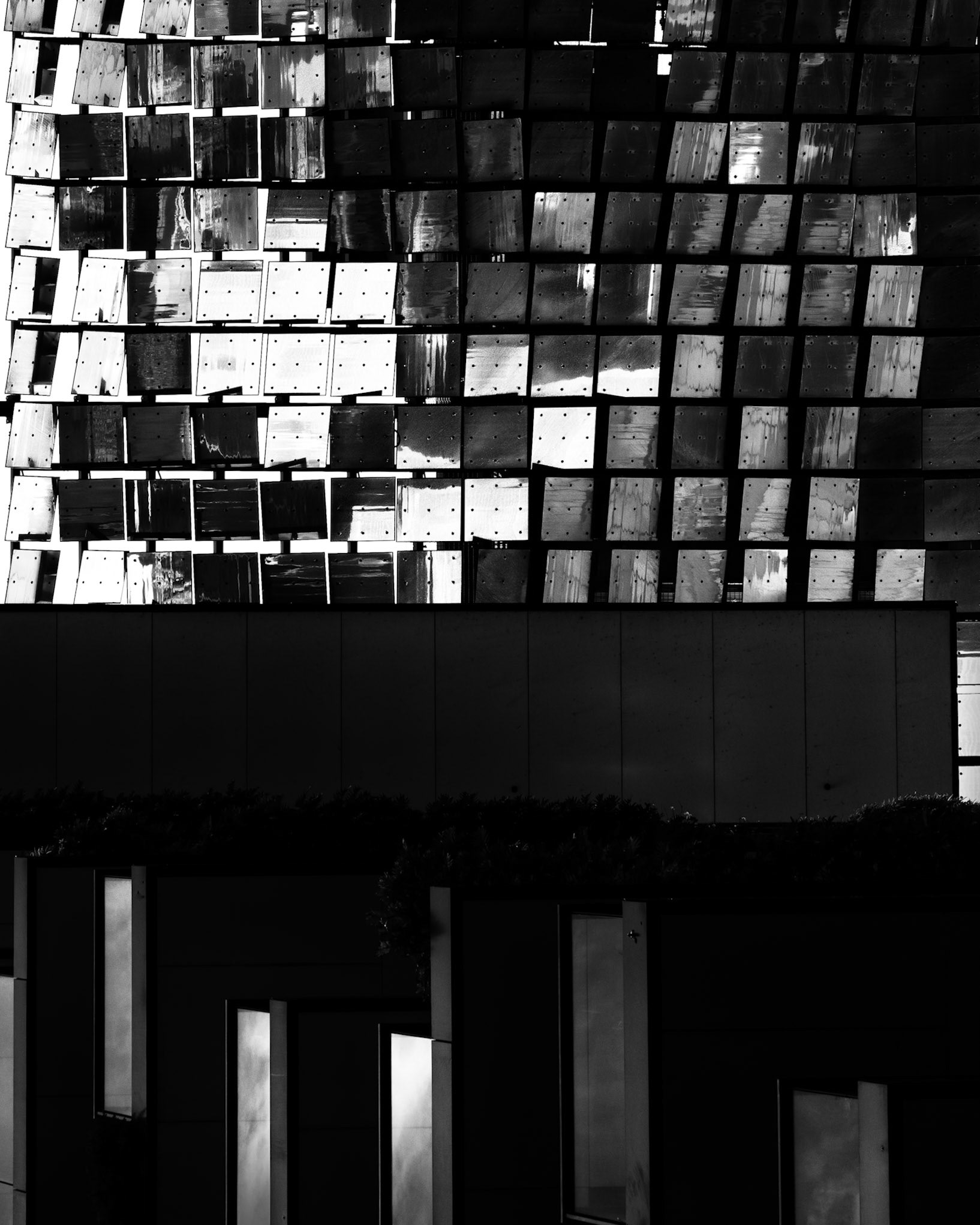 Chequerboard | 2025 | #041221317