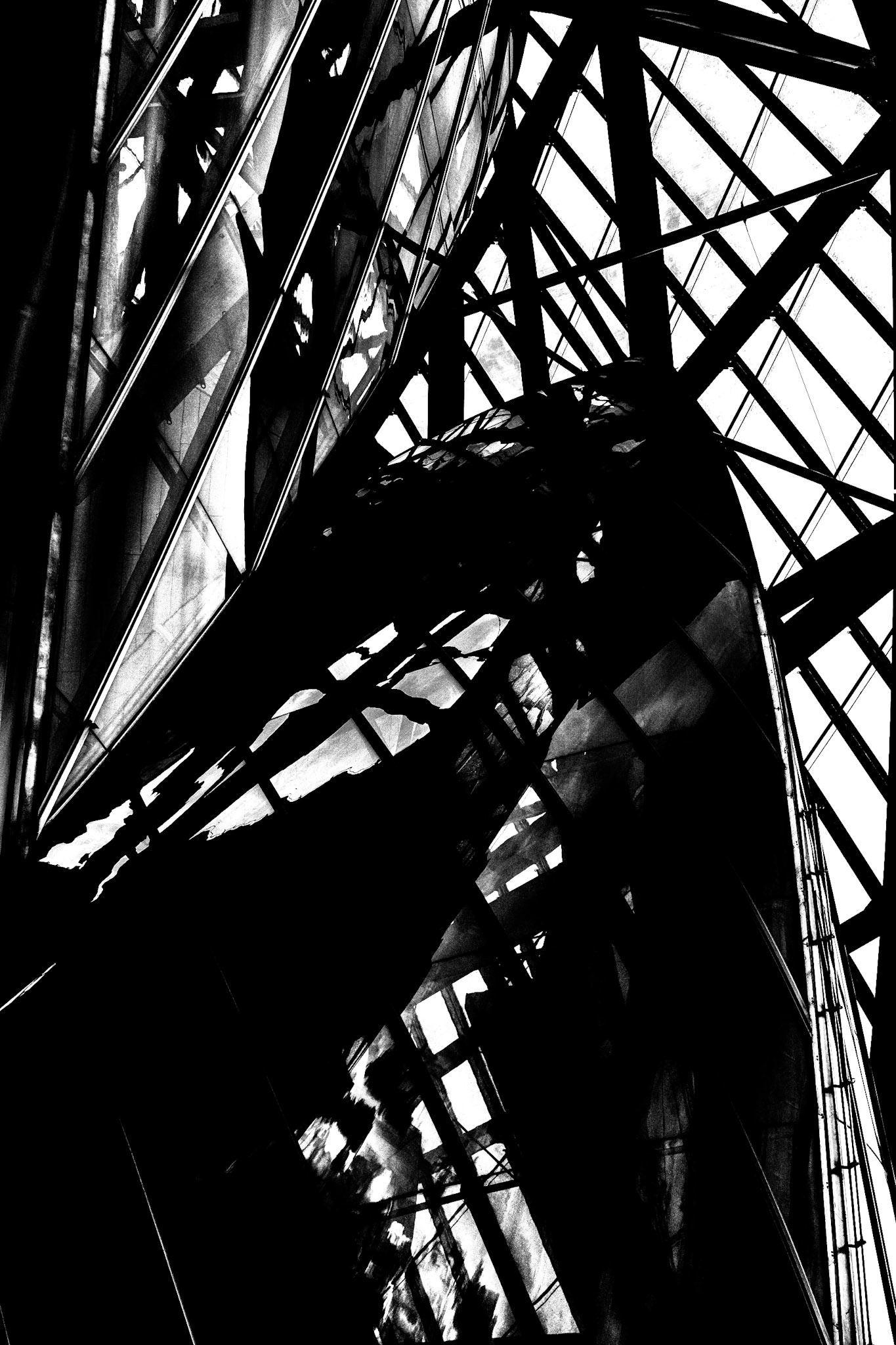Foundation Louis Vuitton II | 2025 | #10211331