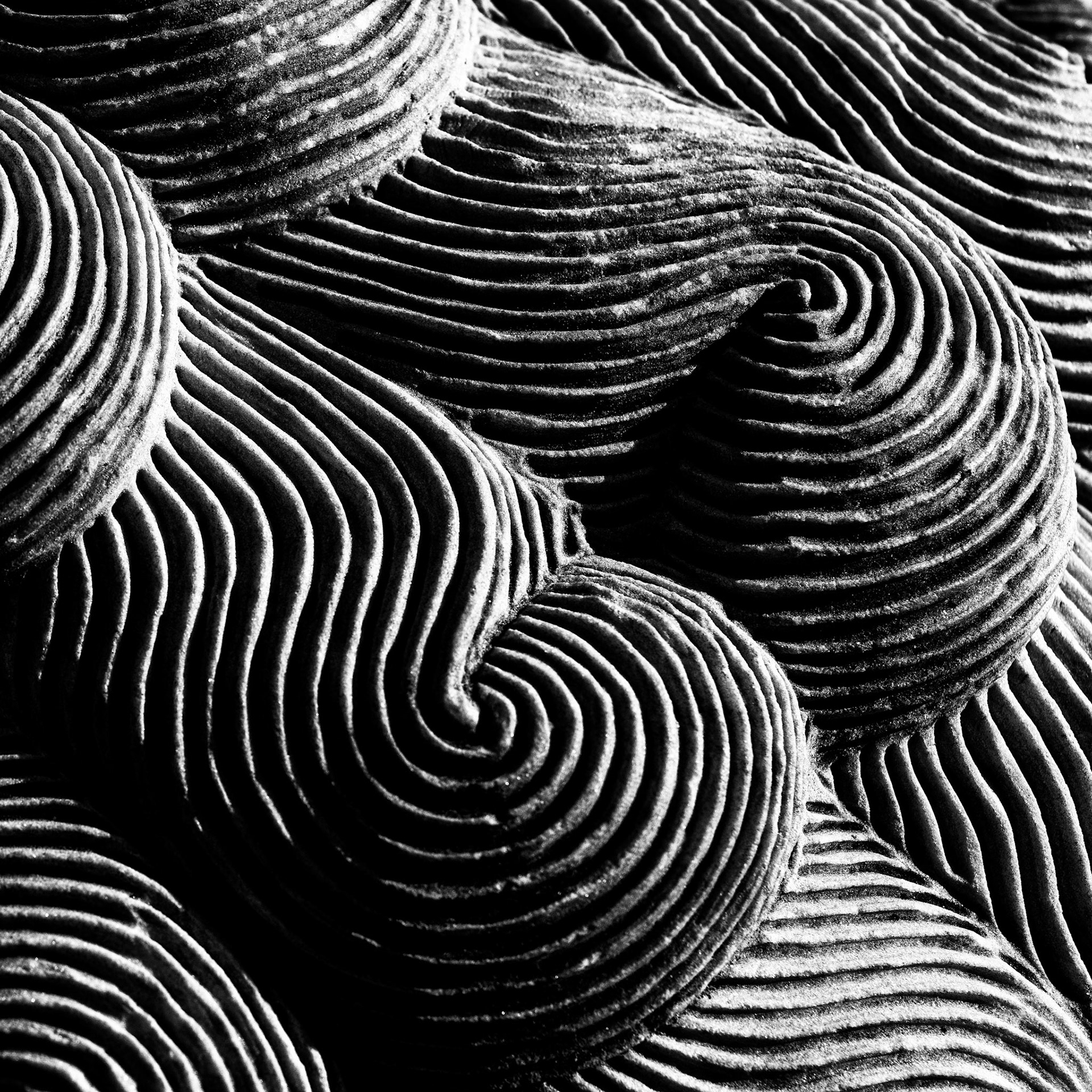 Beijing Garden | 2025 | #02221745