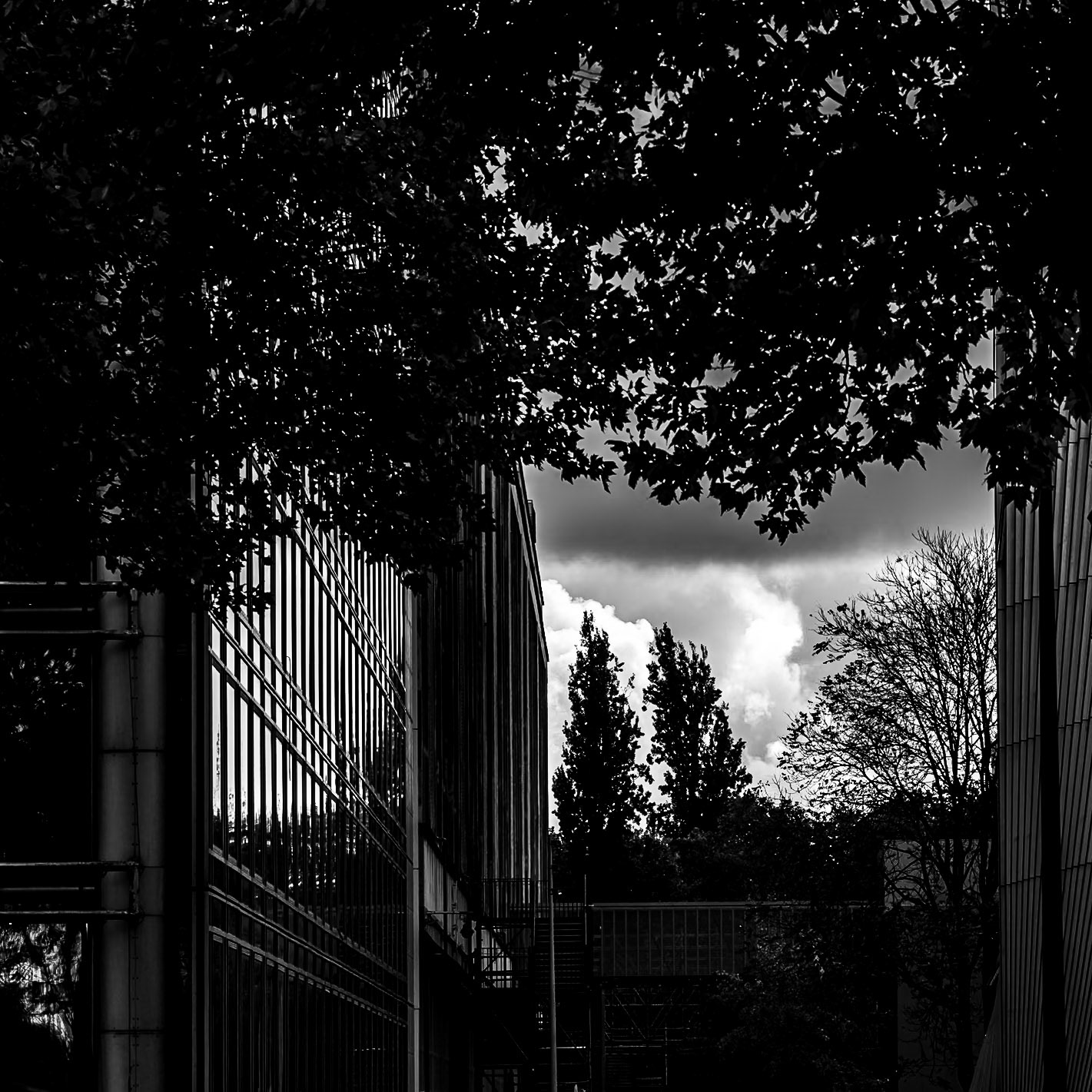 Rue des Fosses Saint-Bernard | 2025 | #10261207