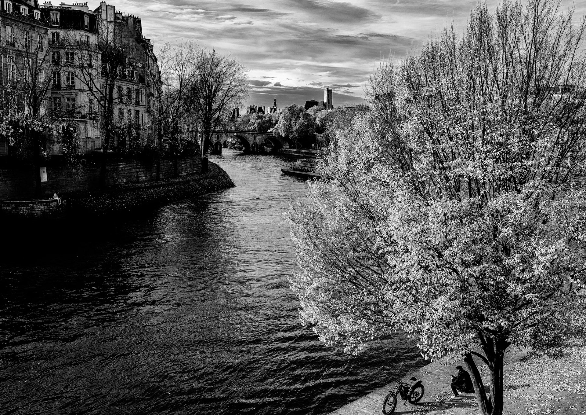 The Seine from Pont Sully | 2025 | #11051703