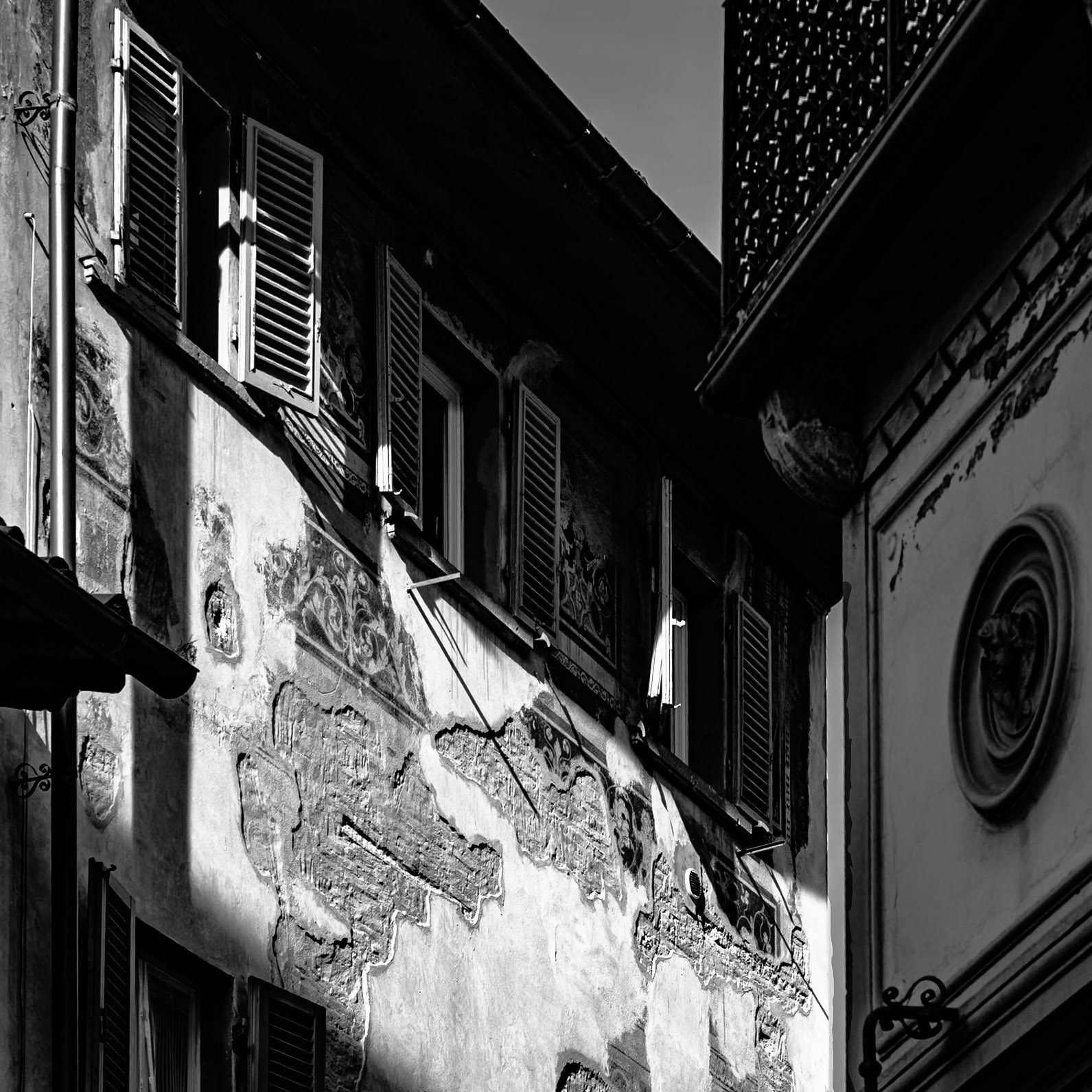 Florence | 2025 | #01121257