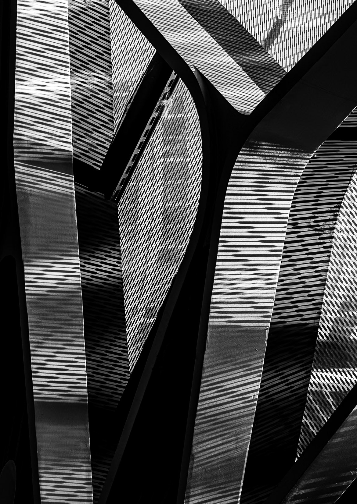 Maze | 2025 | #02041448