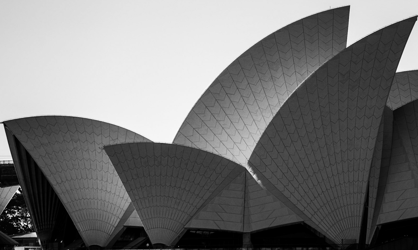 Sydney | 2021 | #111_1726
