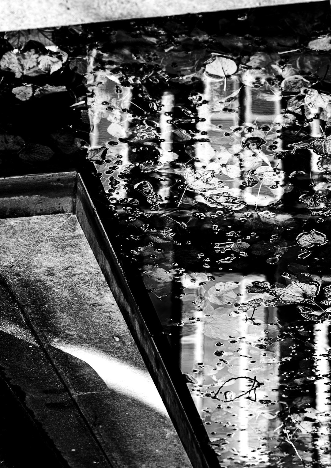 Pool in Musee Rodin | 2025 | #10241207