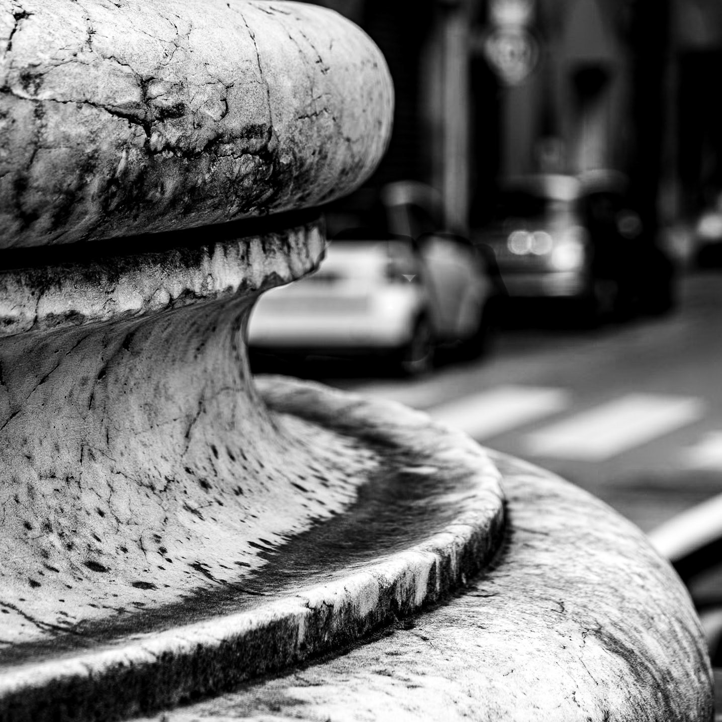 Florence | 2025 | #01111152