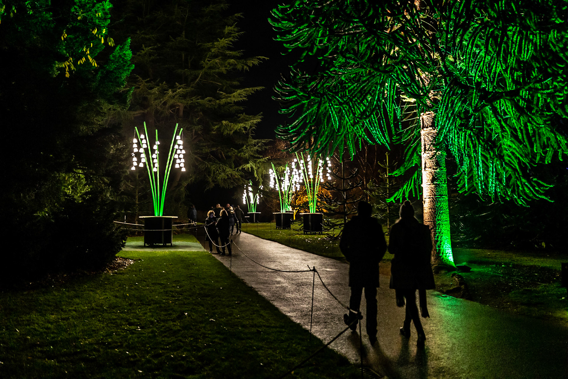 Botanic Lights 2018