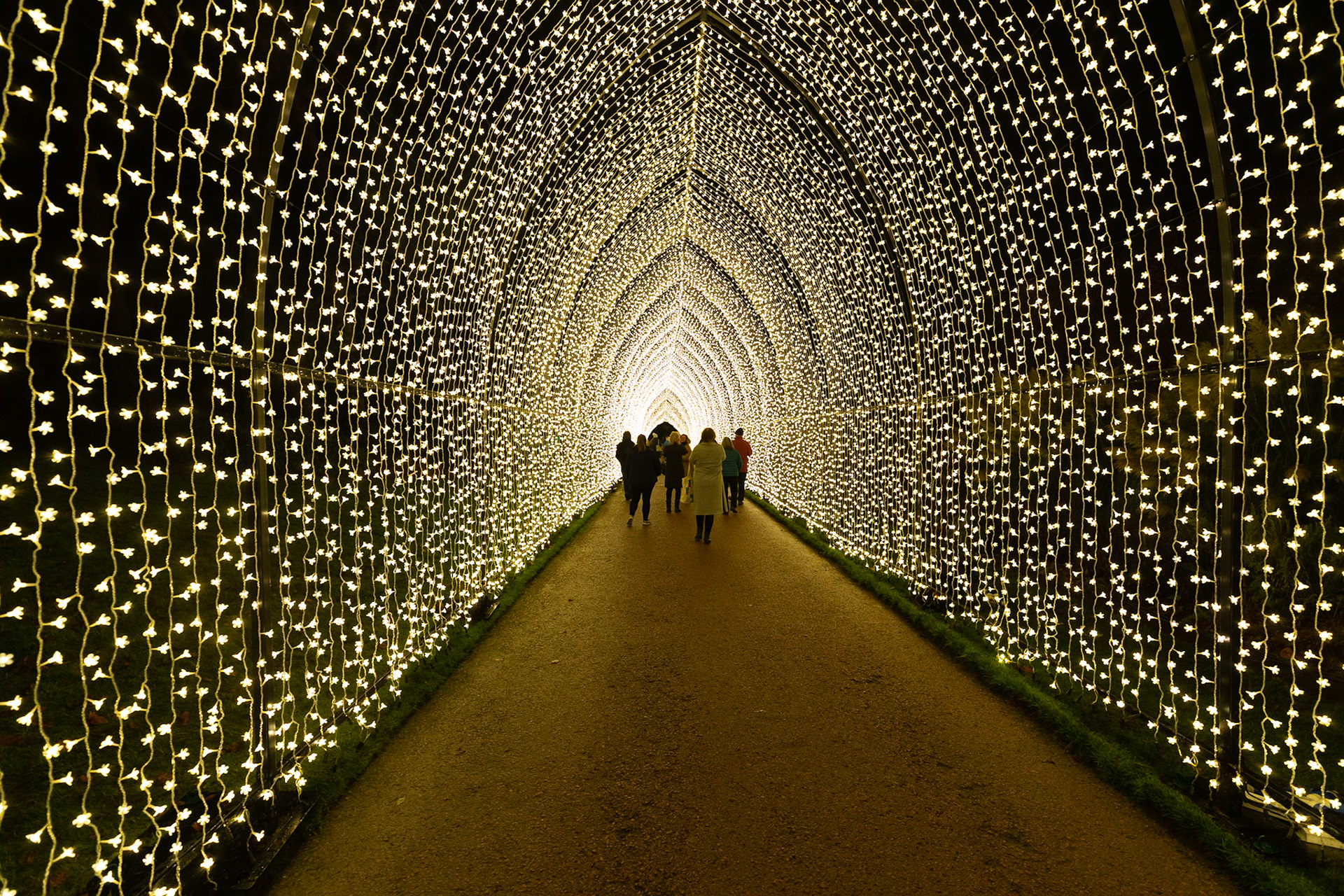 Botanic Lights 2018