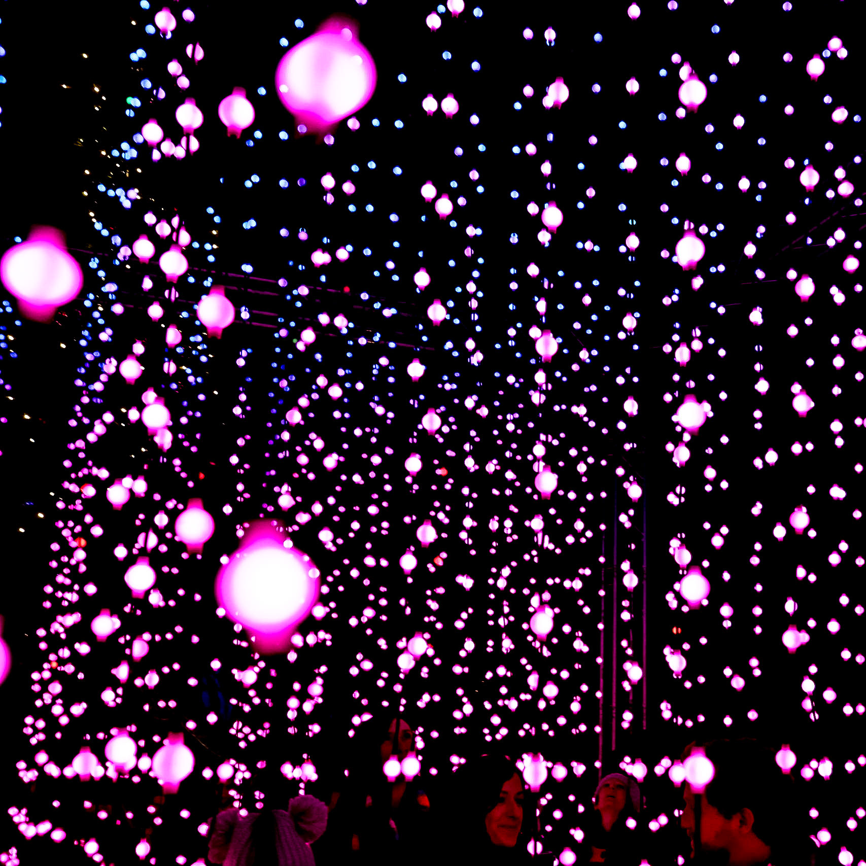 Botanic Lights 2018