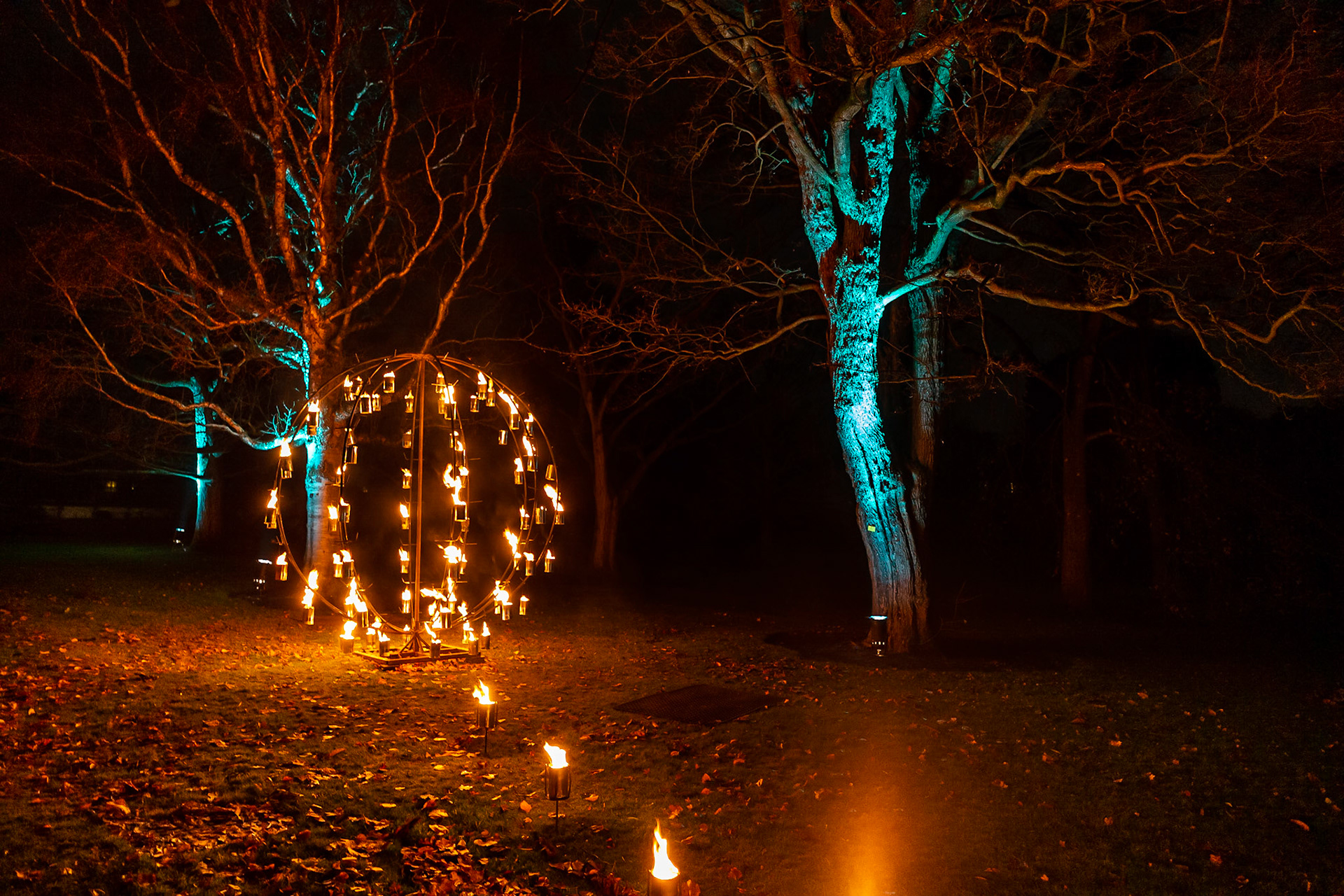 Botanic Lights 2018