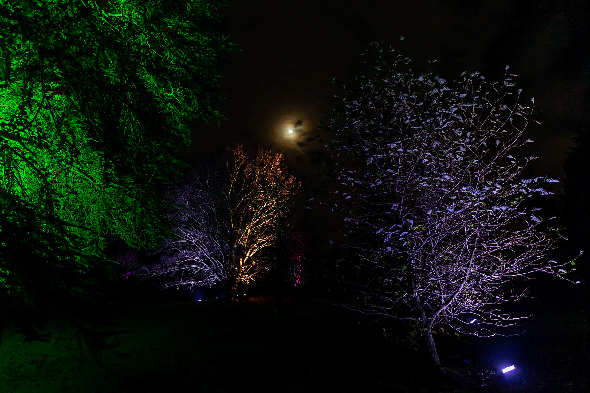 Botanic Lights 2018