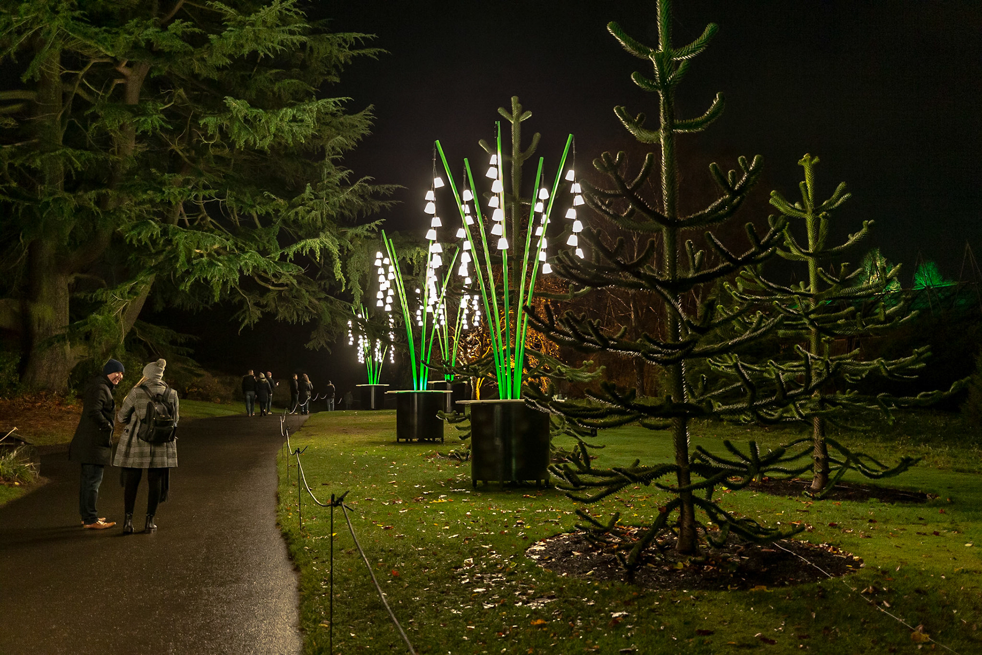 Botanic Lights 2018