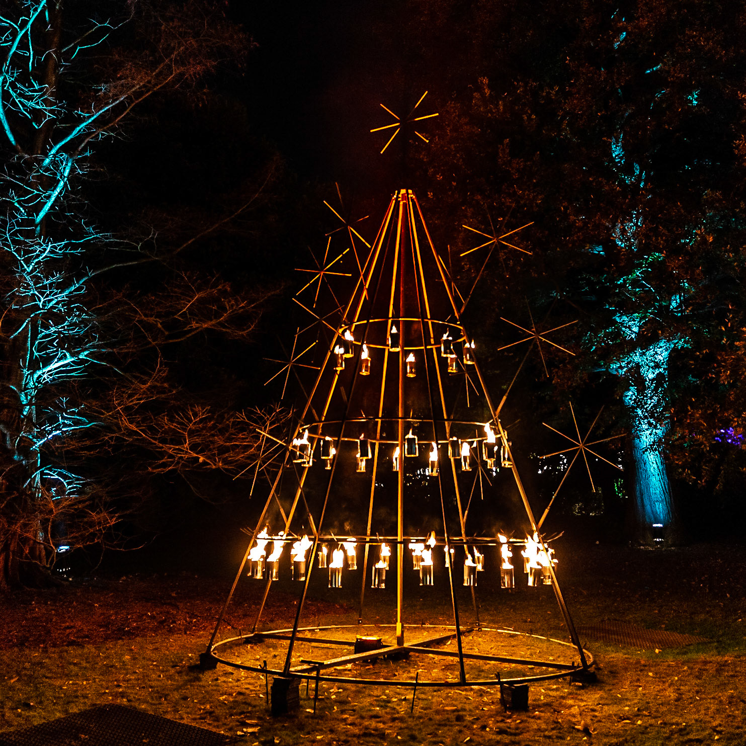 Botanic Lights 2018