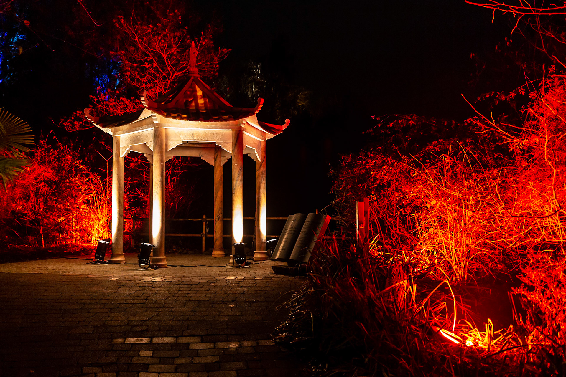 Botanic Lights 2018